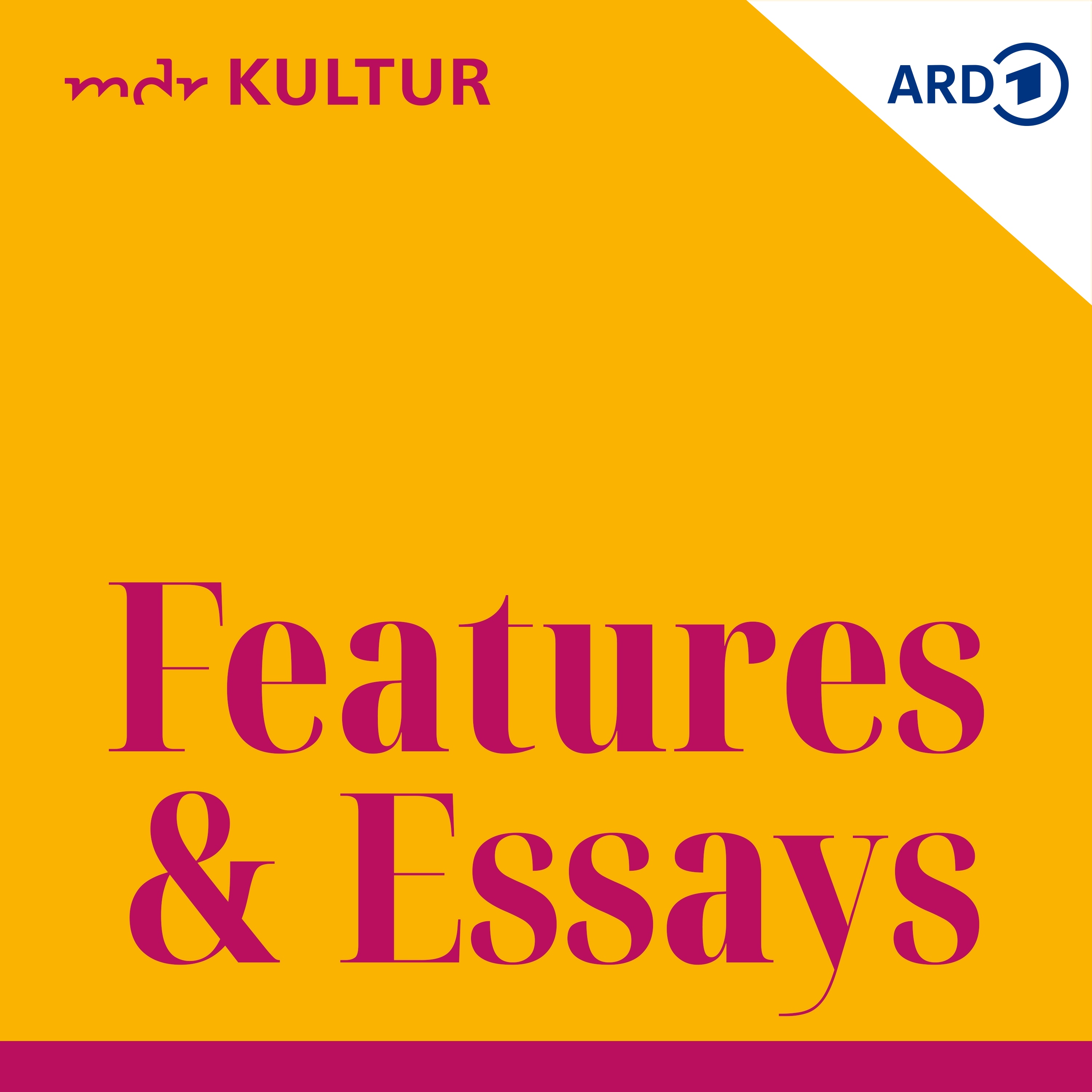 MDR KULTUR Features und Essays 