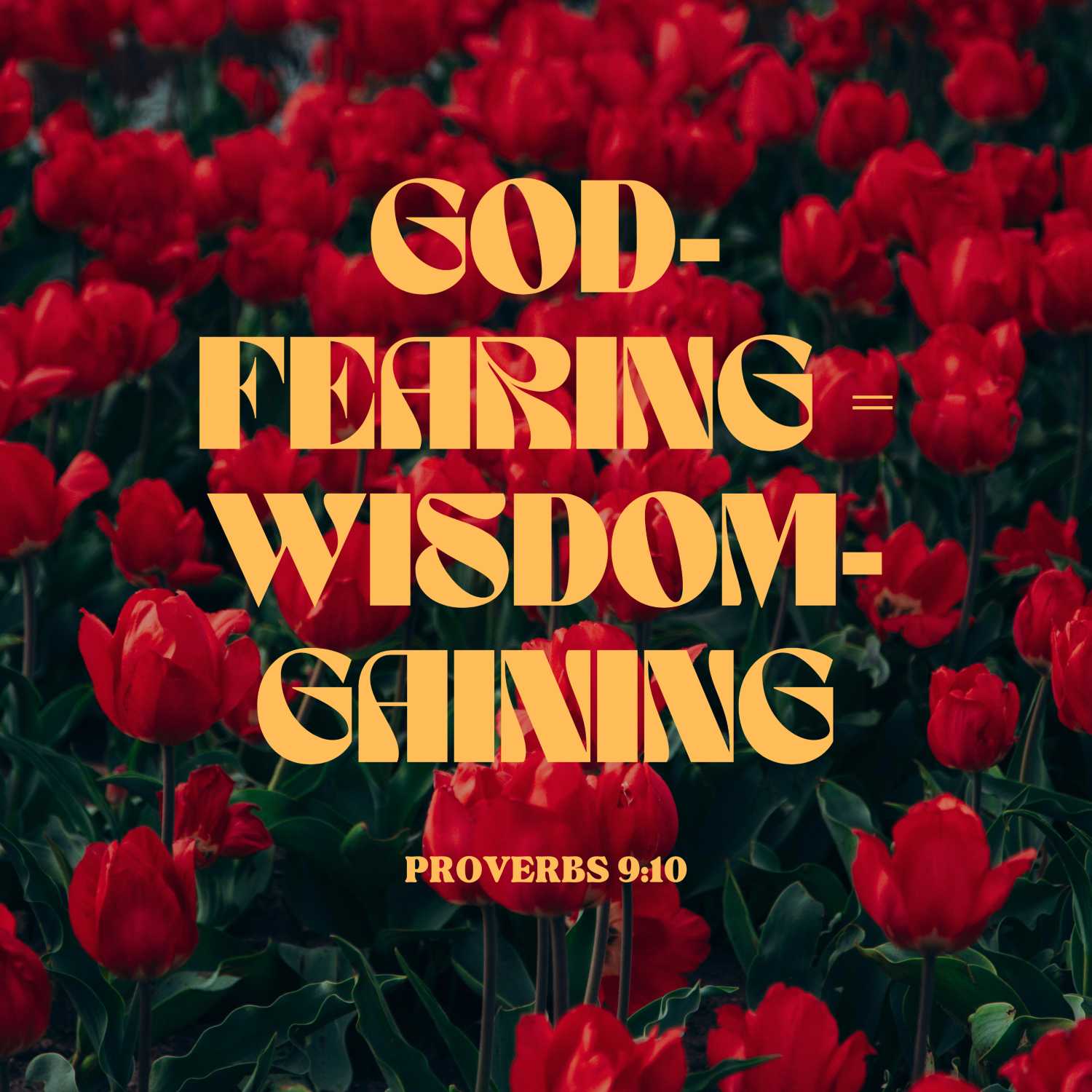 Proverbs 9:10 • God-Fearing = Wisdom-Gaining