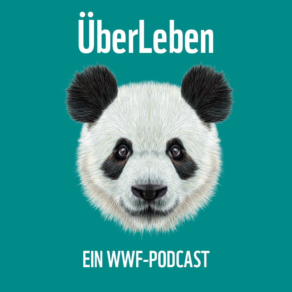 Der Ökosponsoring-Podcast