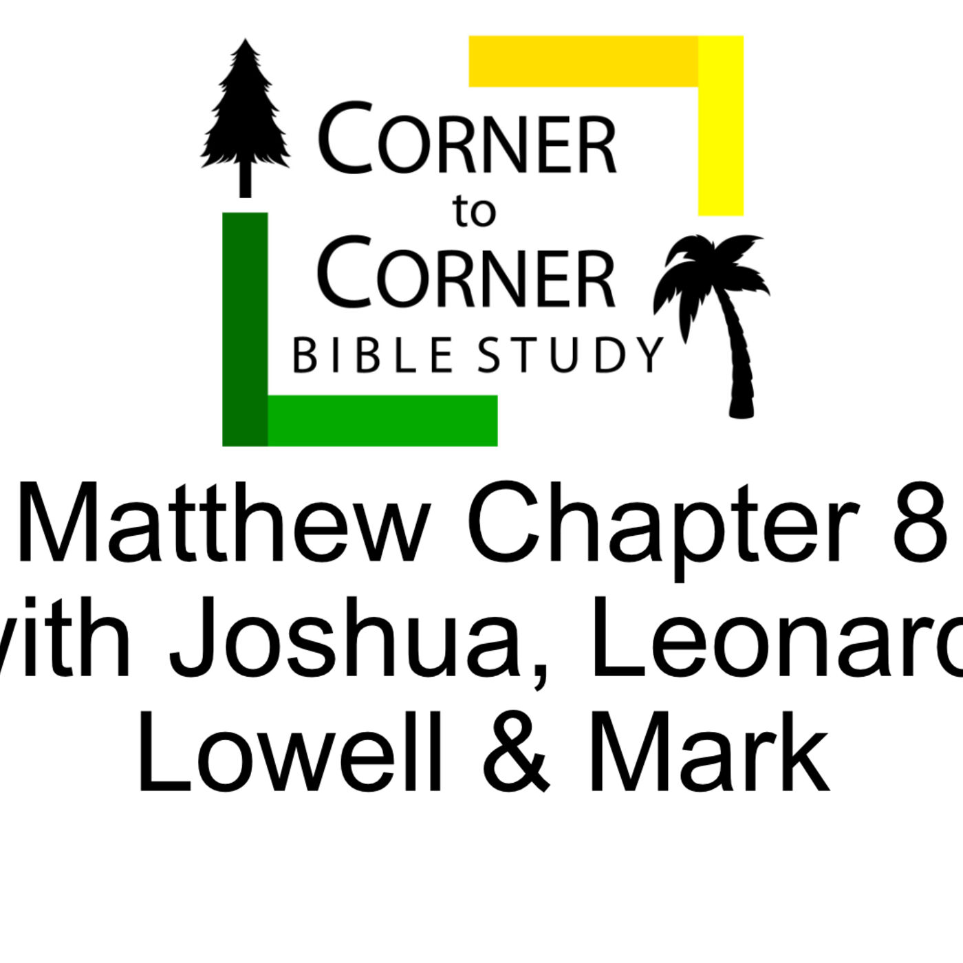 The Gospel according to Matthew Chapter 8