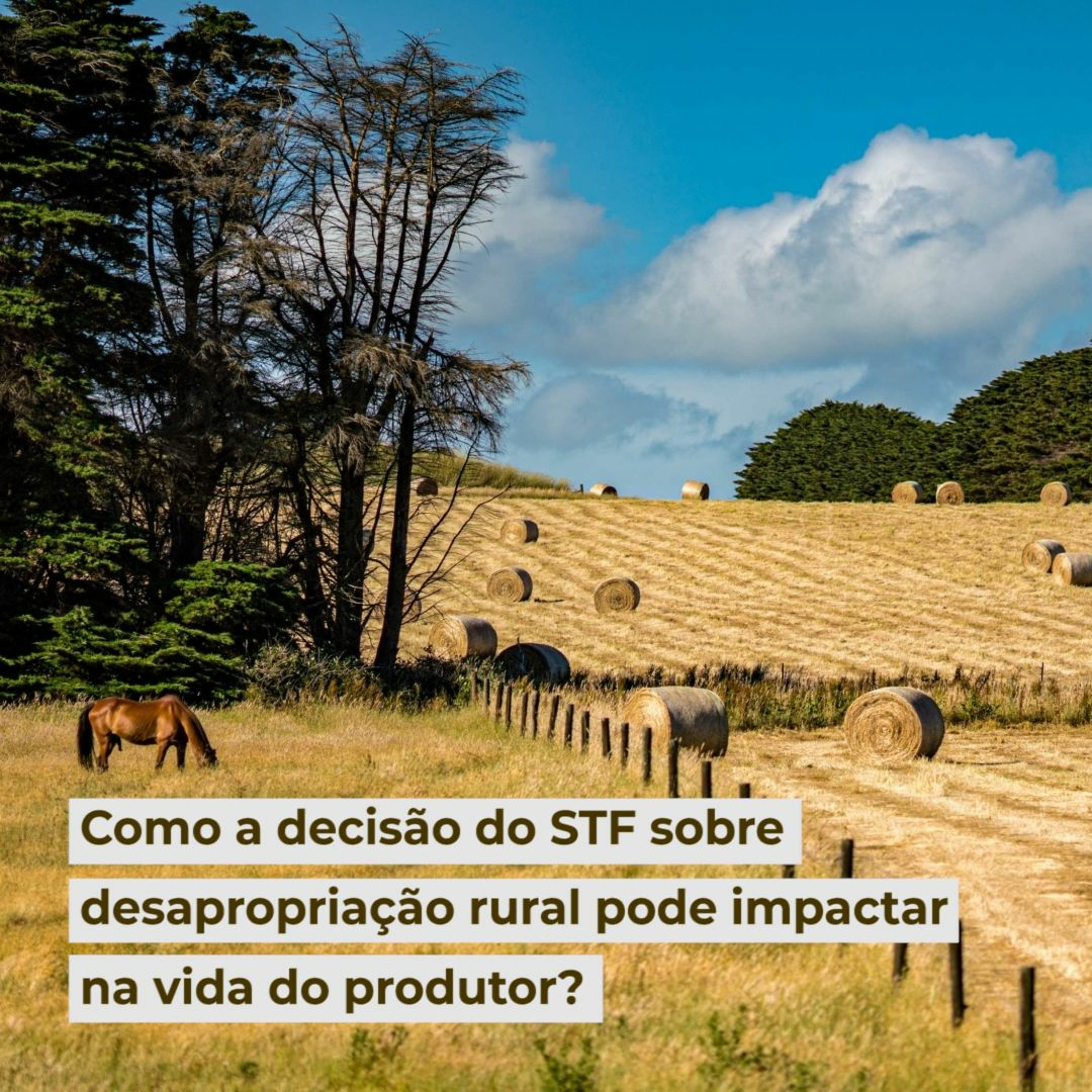 Como a decisão do STF sobre desapropriação rural pode impactar na vida do produtor?