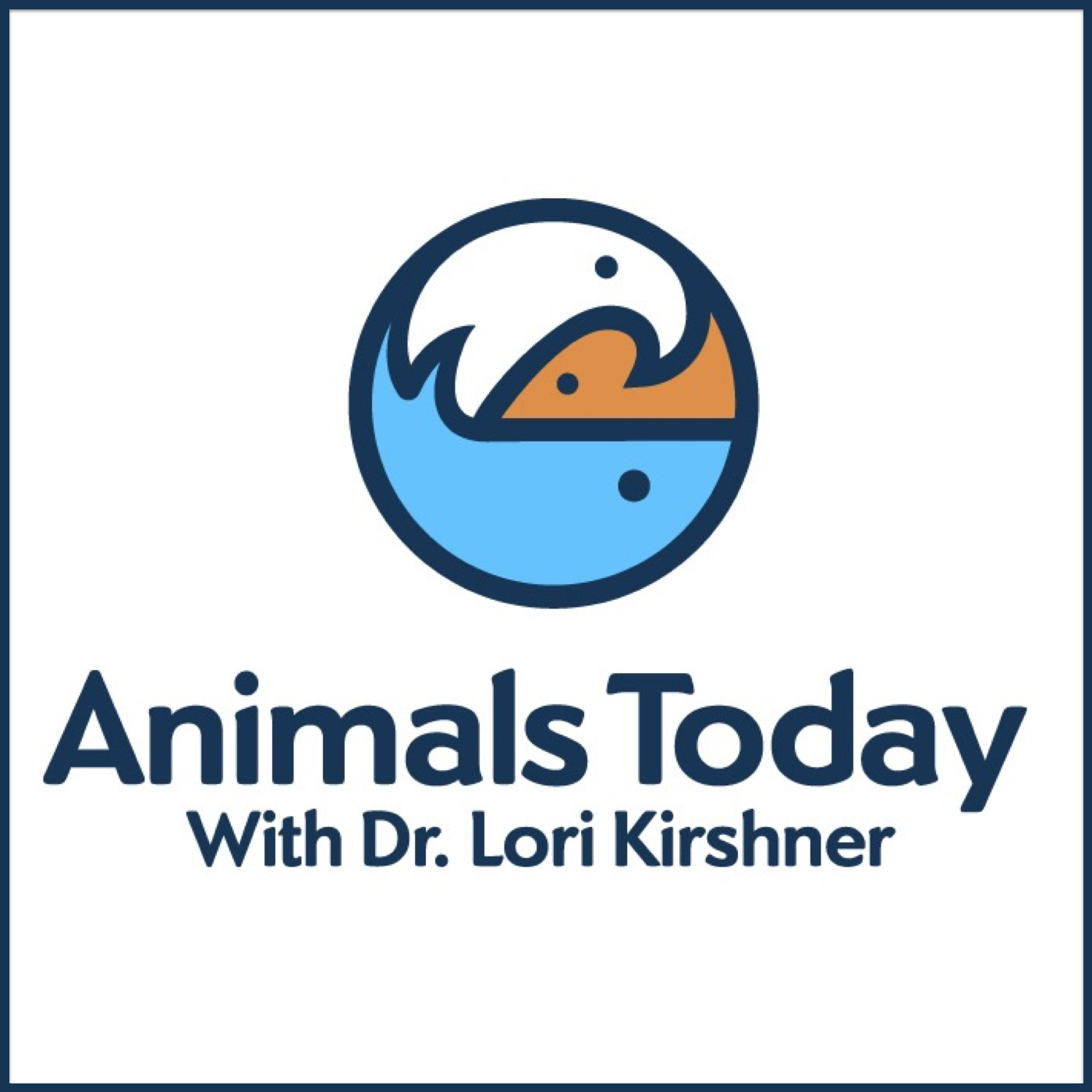 Animals Today Sept 4, 2023. Ensuring Your Pets’ Future. Choosing Safe Dog Toys & Treats. The Official Animals of the 50 States.