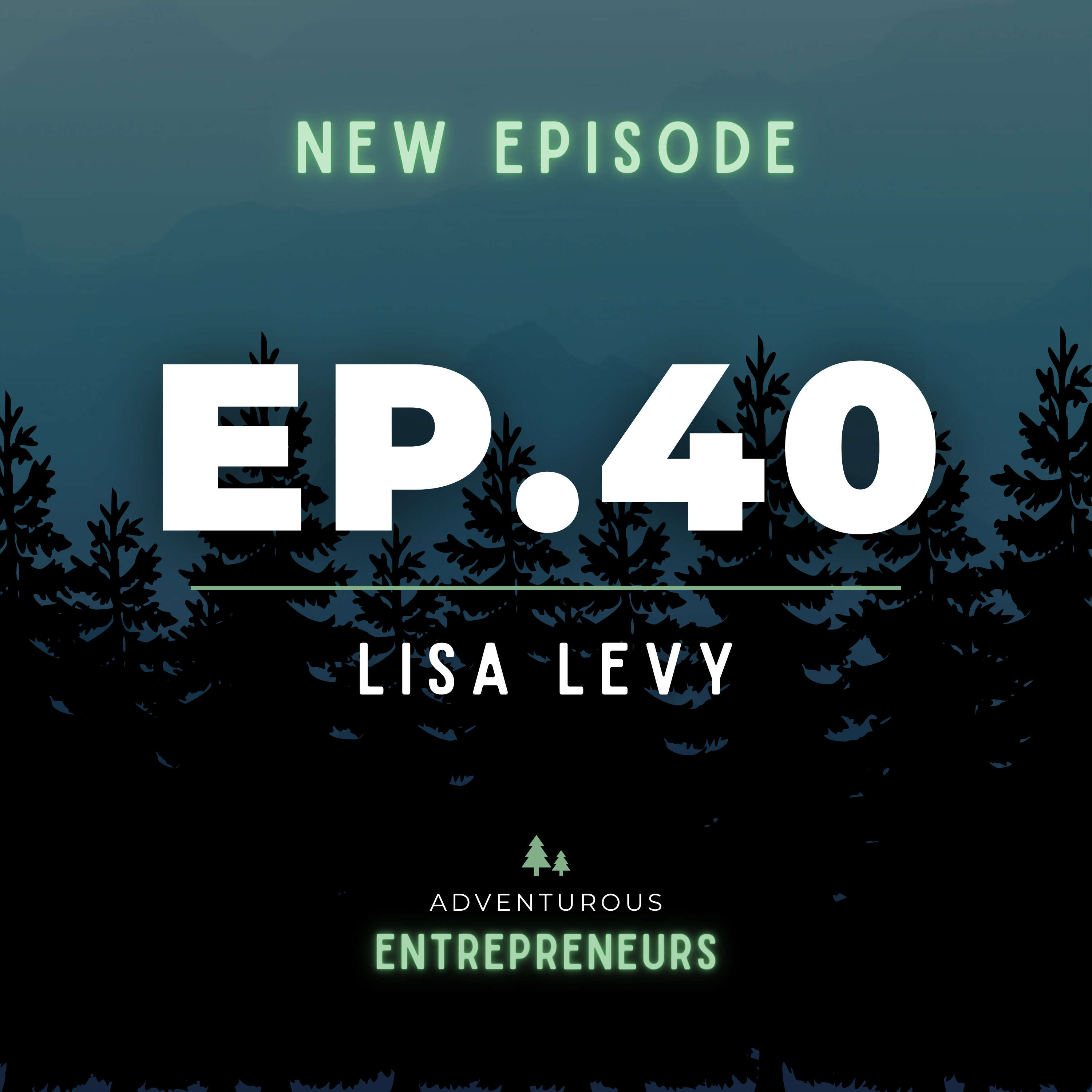 Lisa Levy - Designing Your Roller Coaster, Cracking the Glass Ceiling For Women In Leadership, and Adapting to Change as a CEO