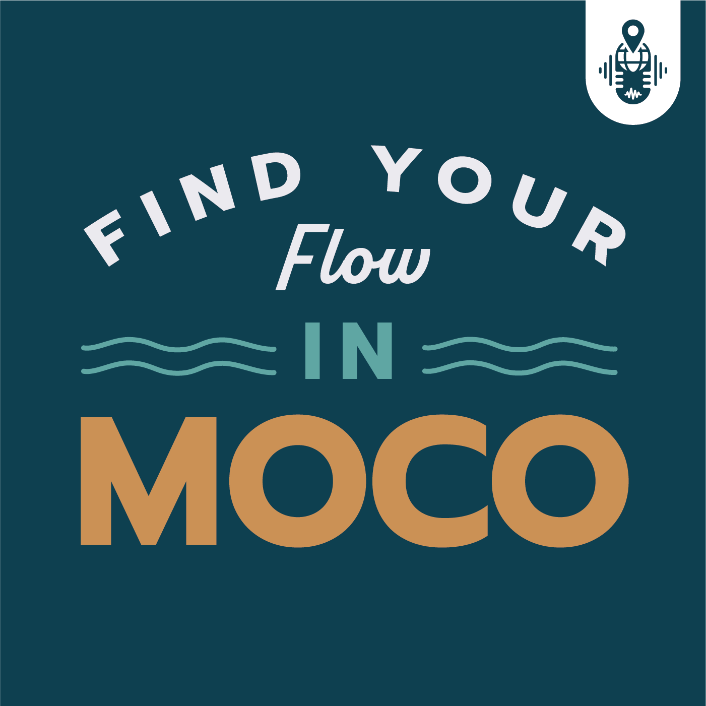 Find Your Flow in MoCo 