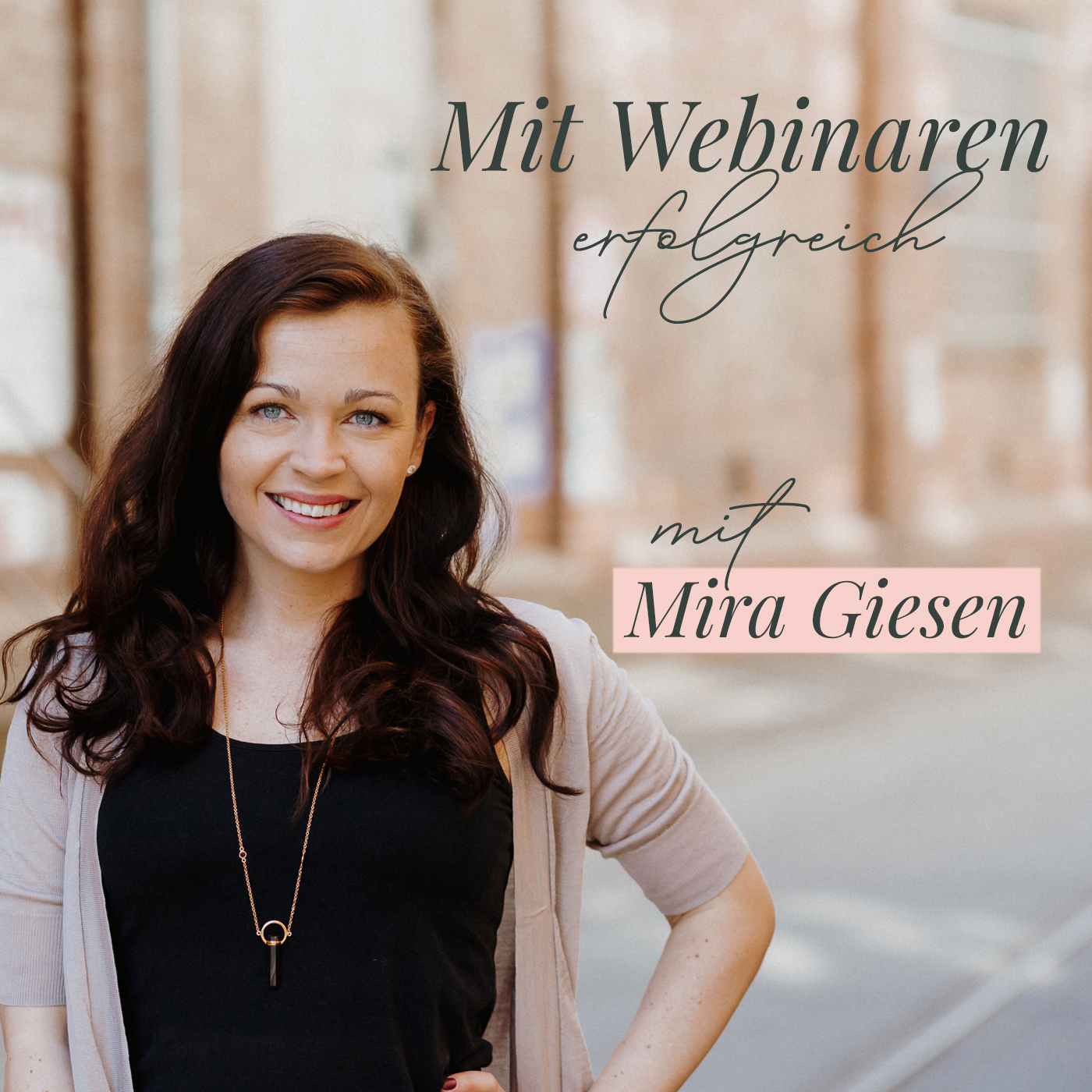 Mit Webinaren erfolgreich 