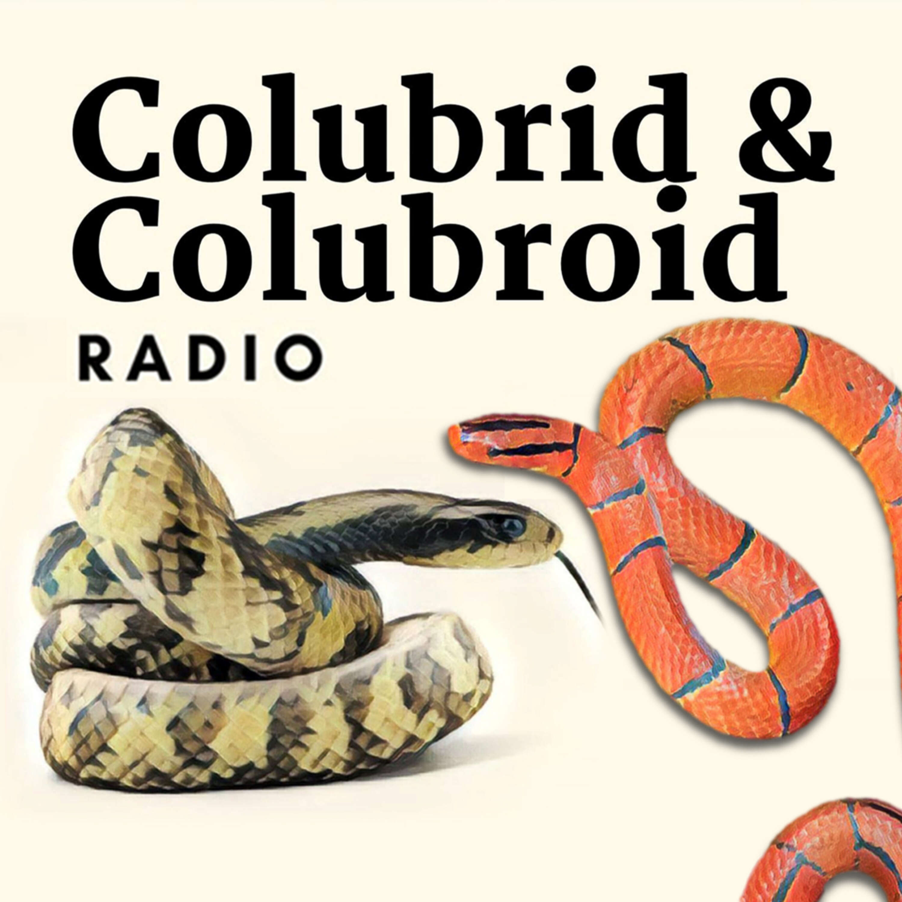 Colubrid & Colubroid Radio 