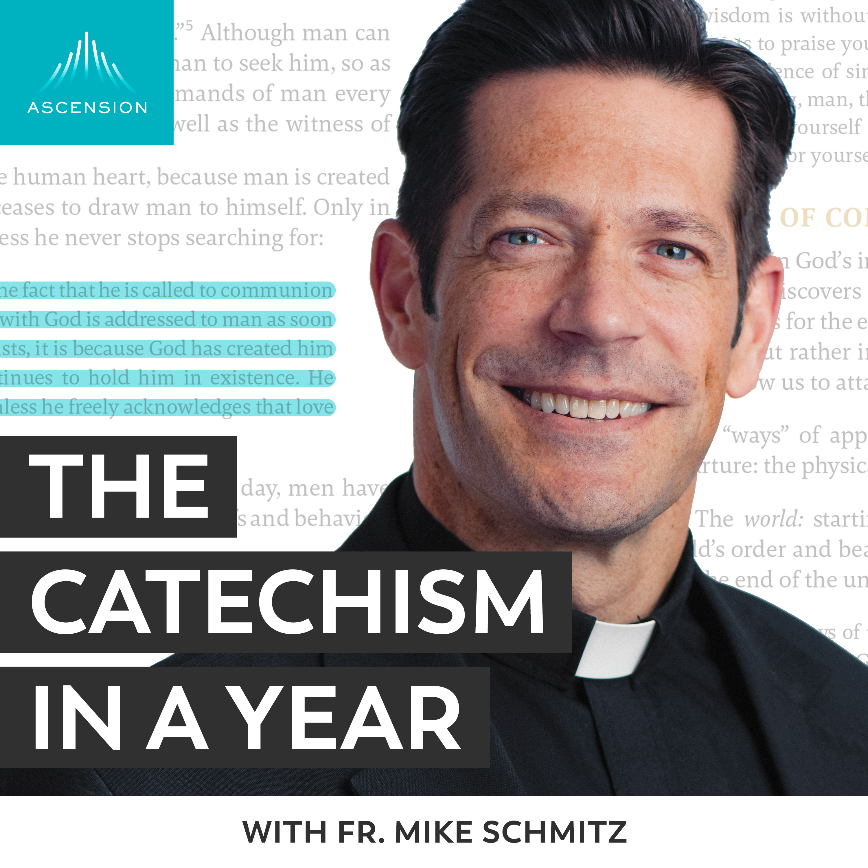 The Catechism in a Year (with Fr. Mike Schmitz) 