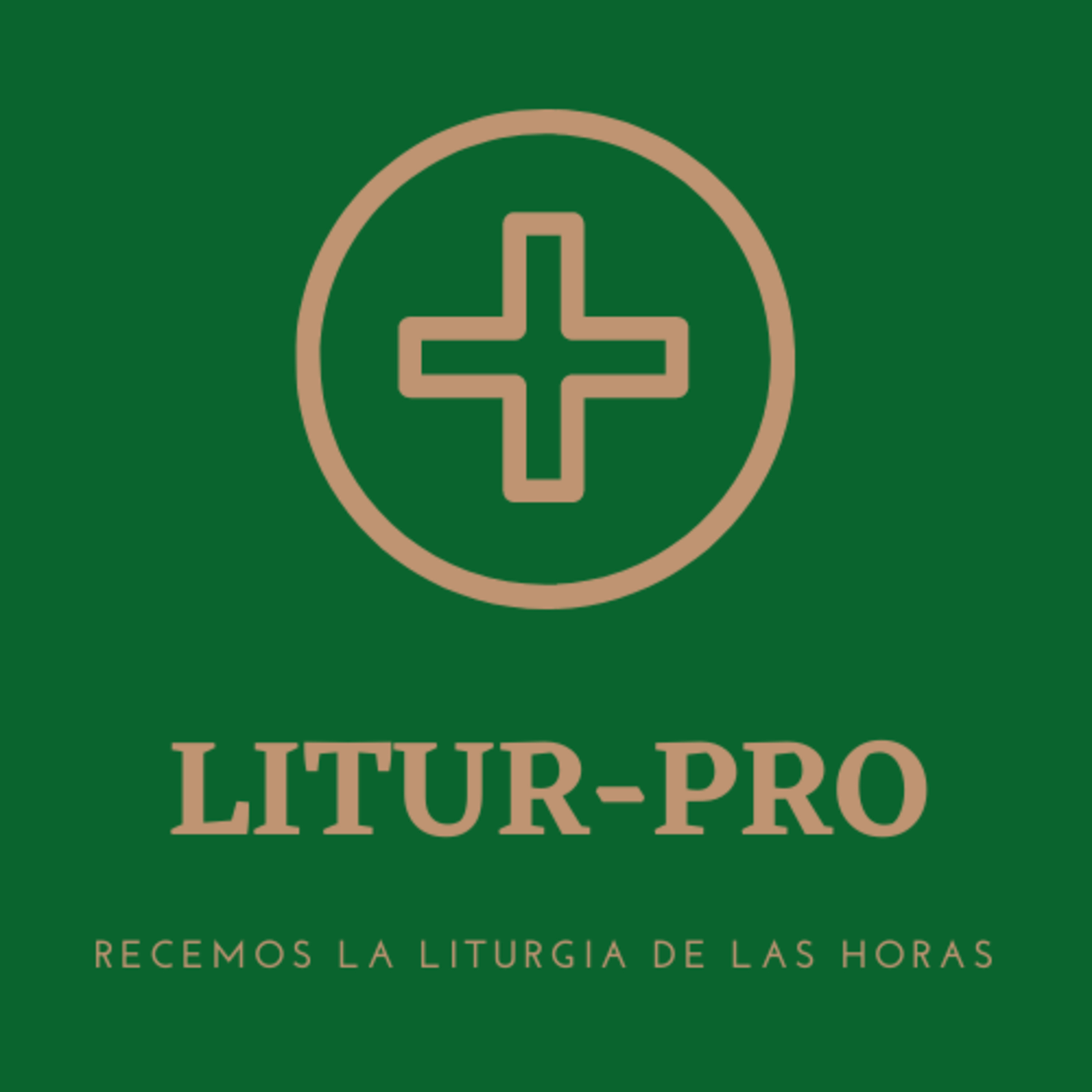 LITUR-PRO: RECEMOS LA LITURGIA DE LAS HORAS 