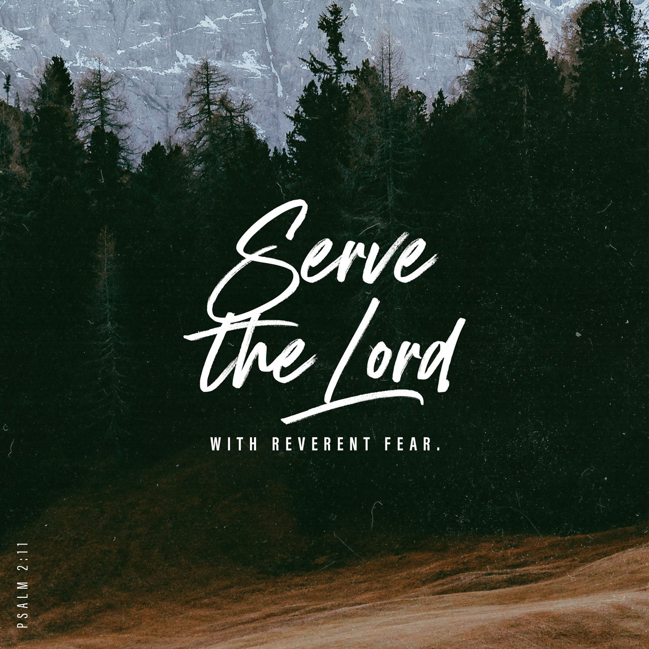 ⁣"Serve & Rejoice" - A Daily Meditation