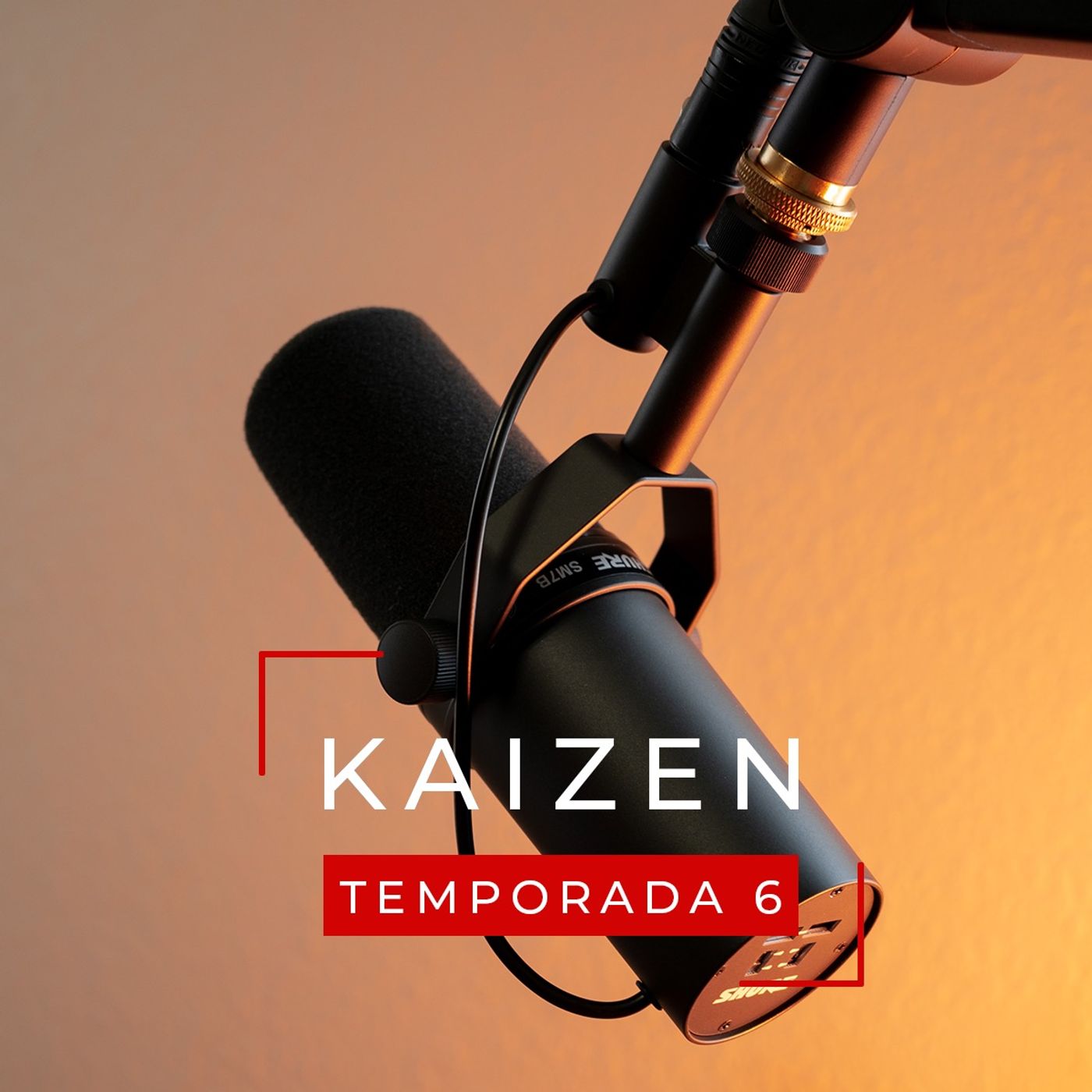 Muy pronto... kaizen T06