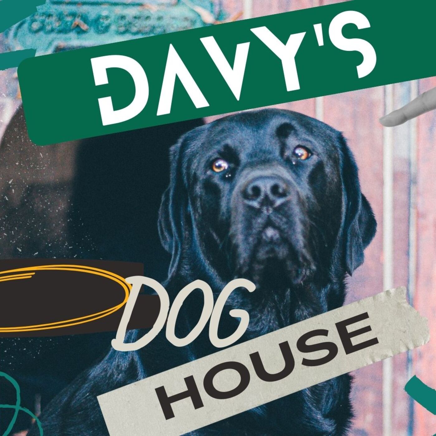 Davy's Doghouse 