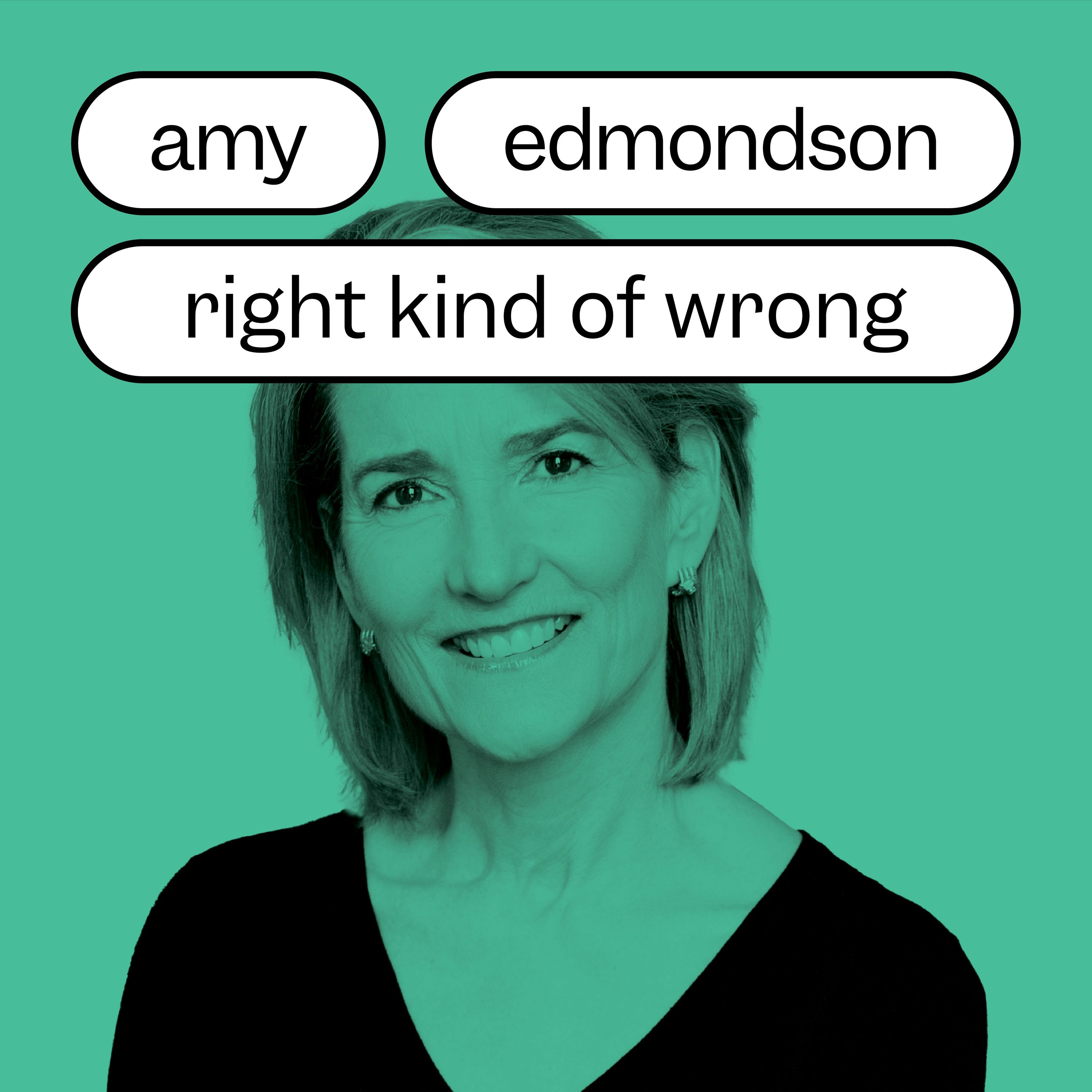 Amy Edmondson on Right Kind of Wrong