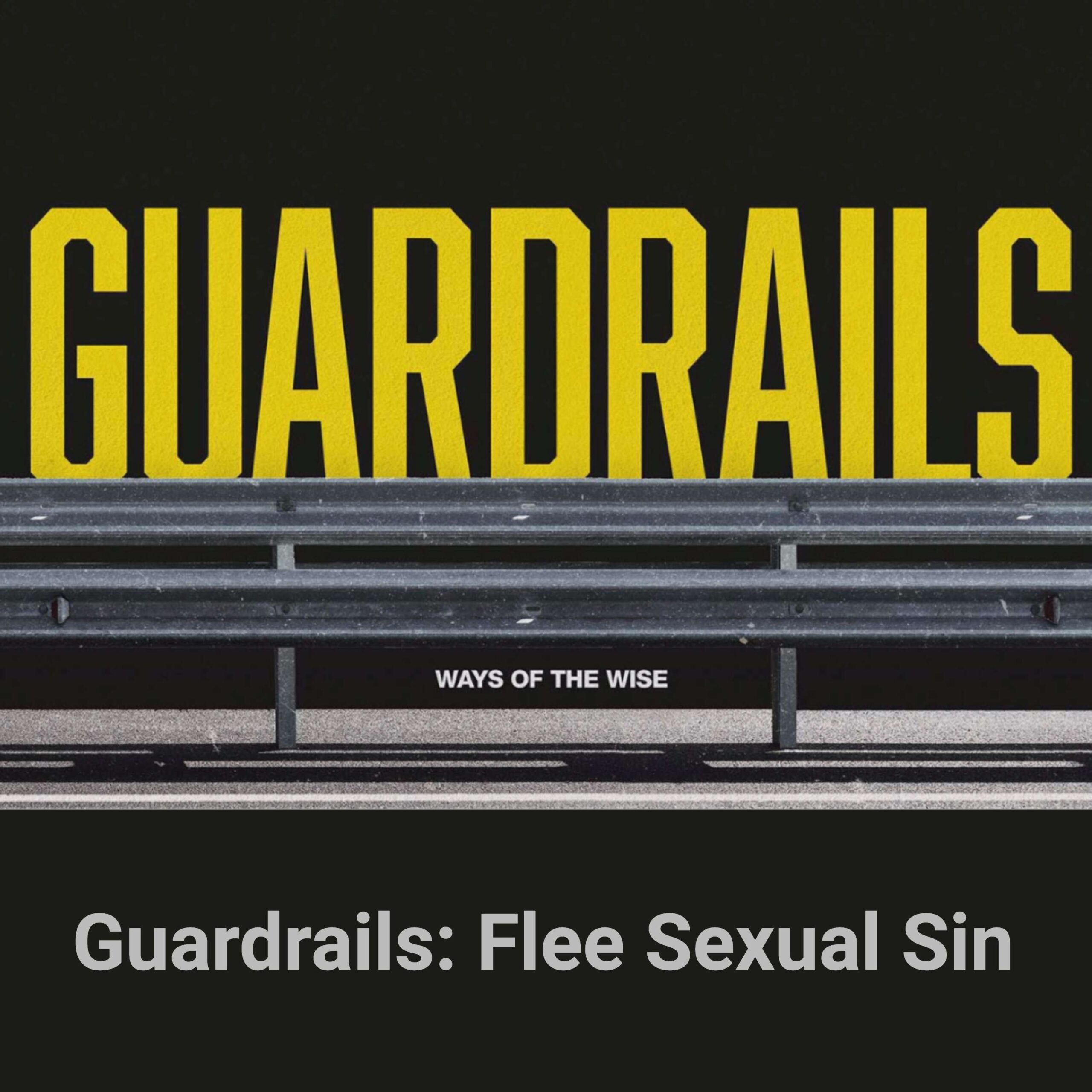 ⁣Guardrails: Flee Sexual Sin