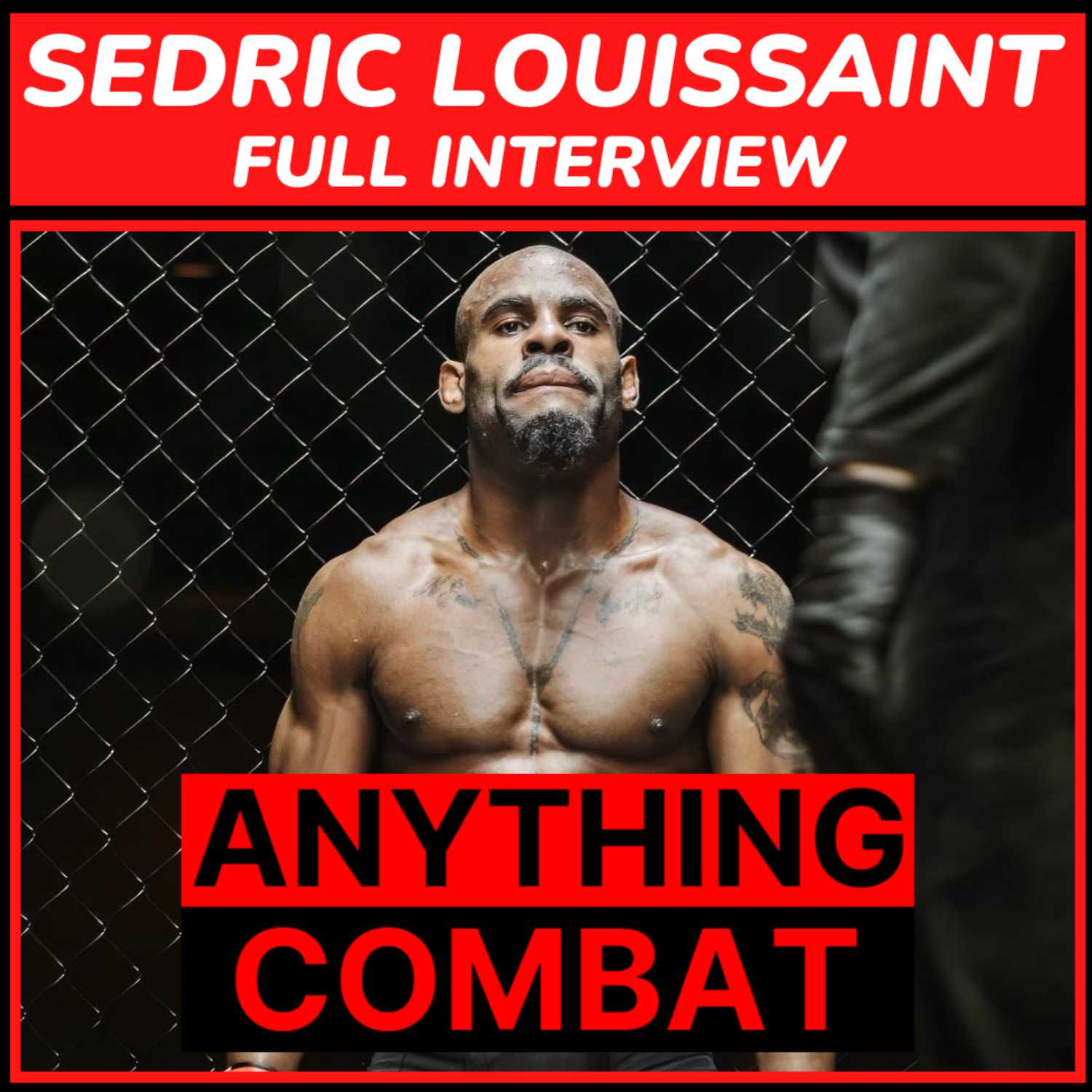 Anything Combat Interviews: Episode 6 - Sedric Louissaint