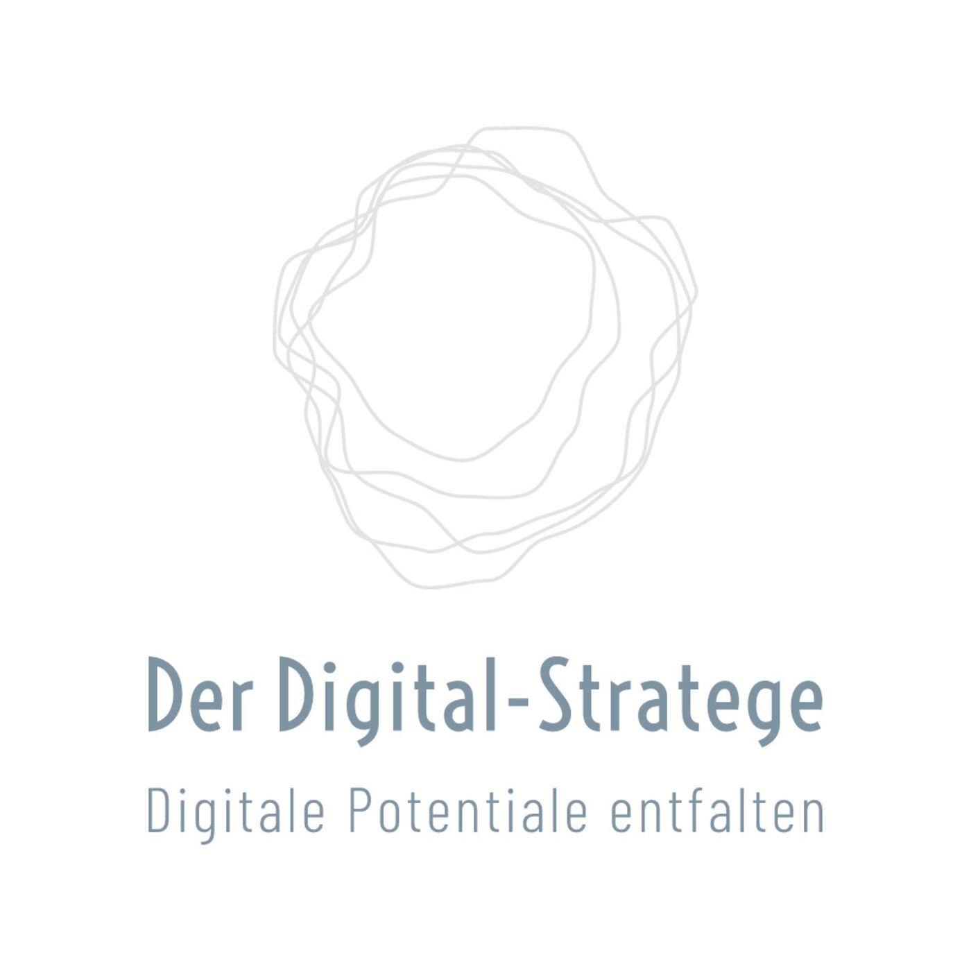 Der Digital-Stratege 