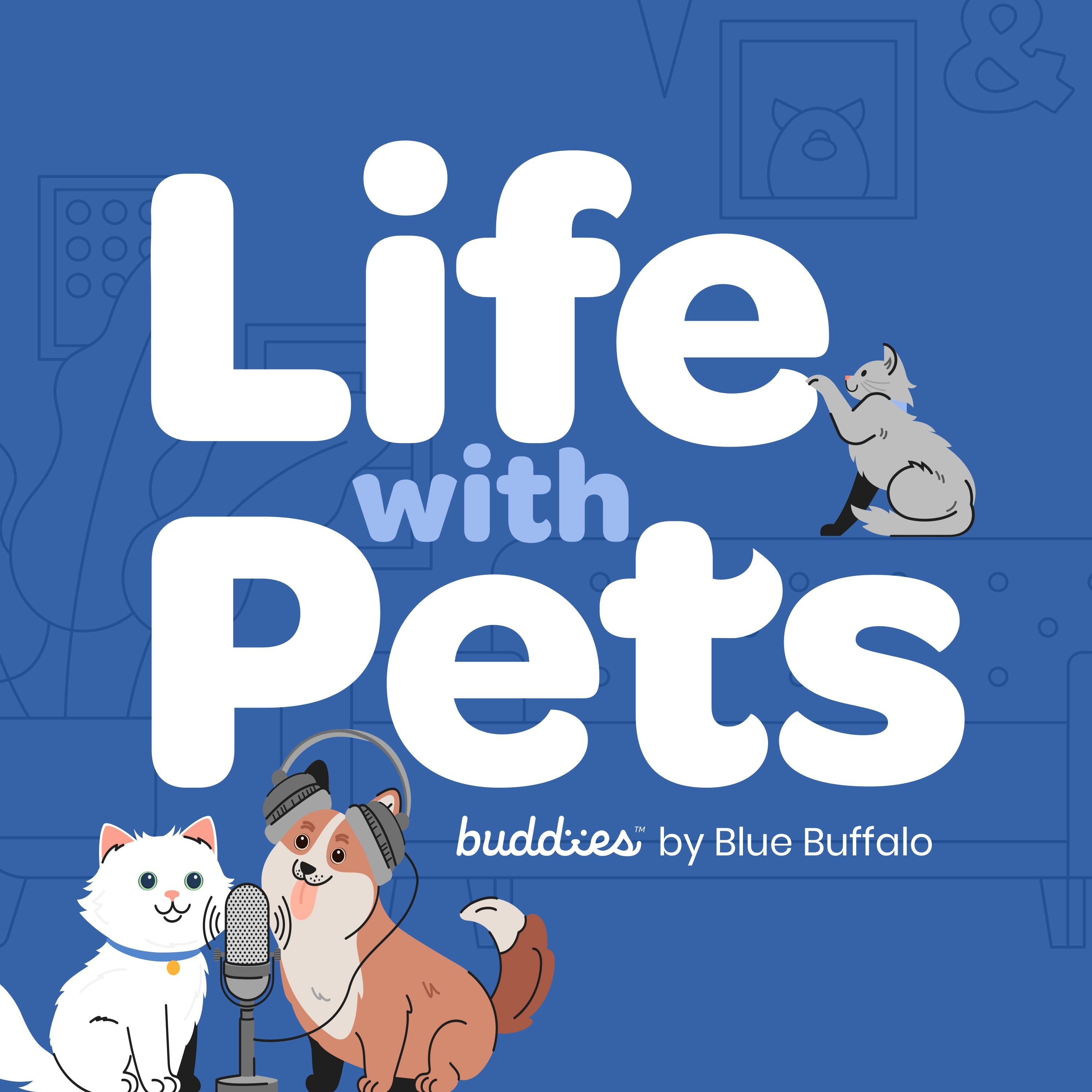 Life with Pets 