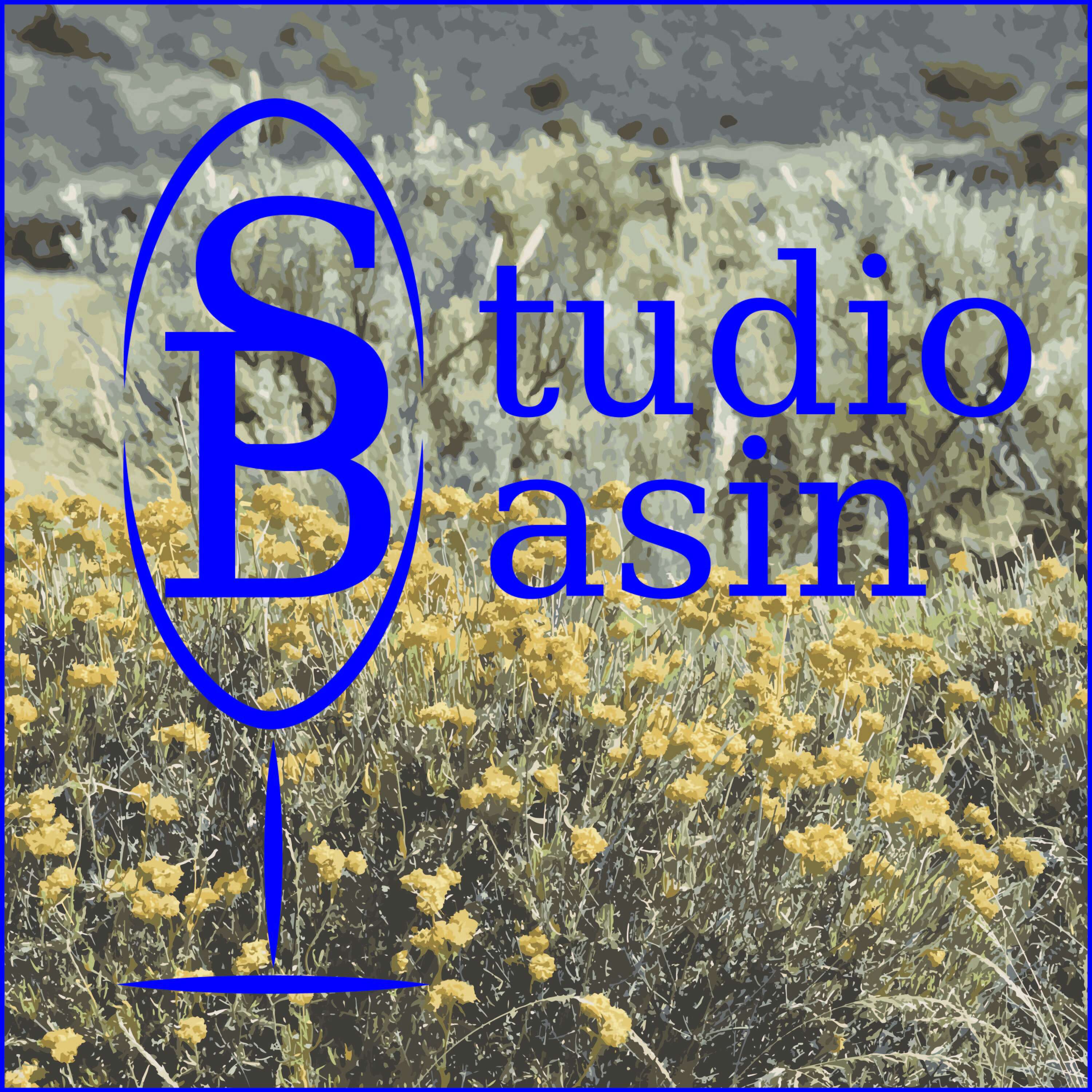 Studio Basin 