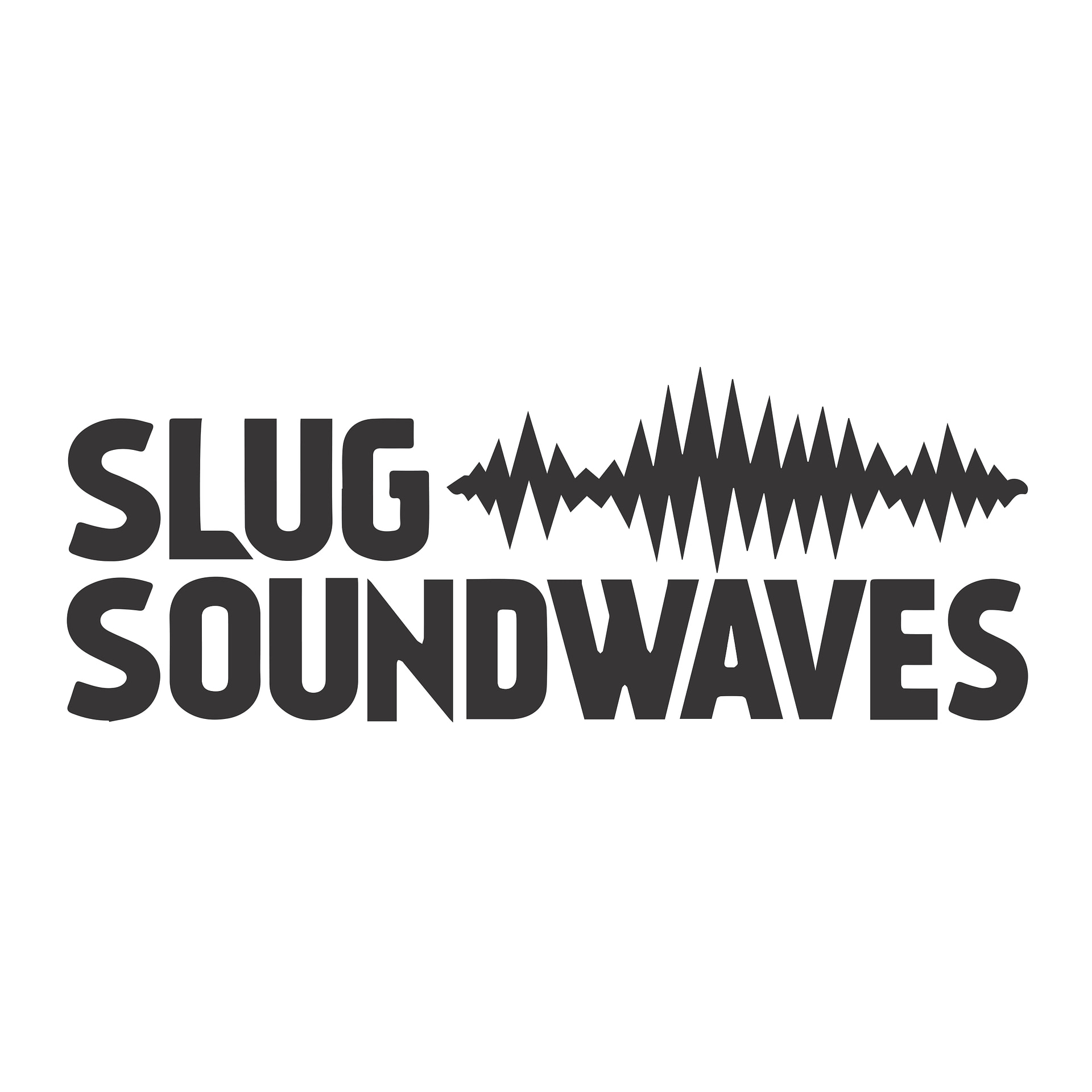 SLUG Mag Soundwaves 