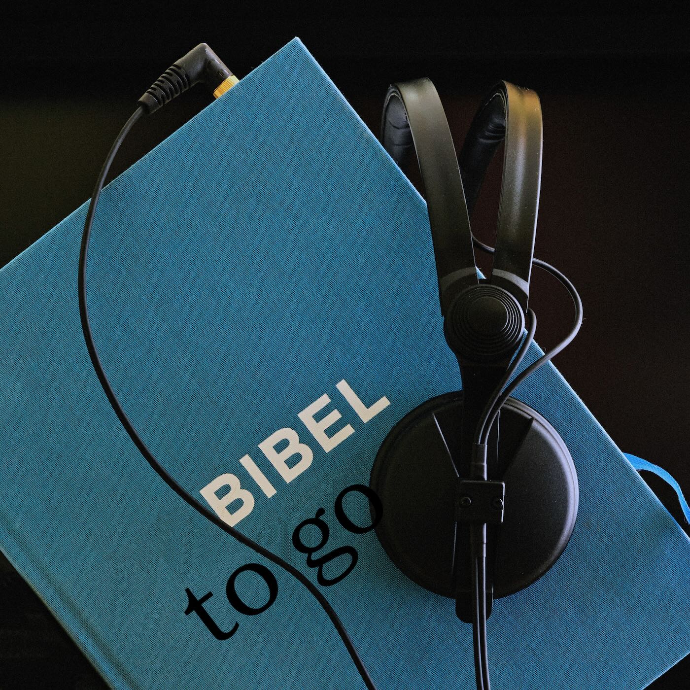 Bibel to go. Die Lesungen des Tages 