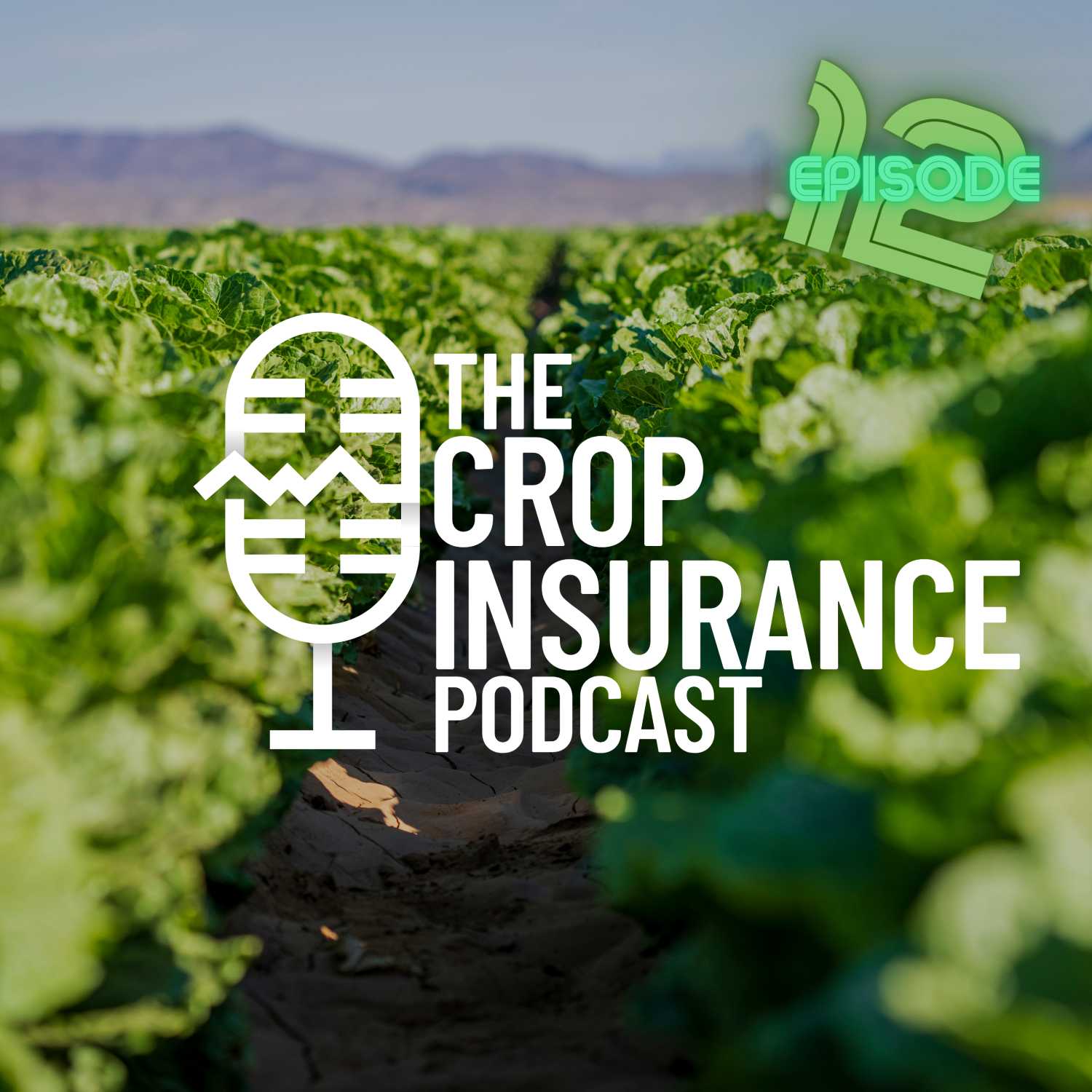 ⁣Crop Insurance Basics | 12: SCO/ECO Part 2