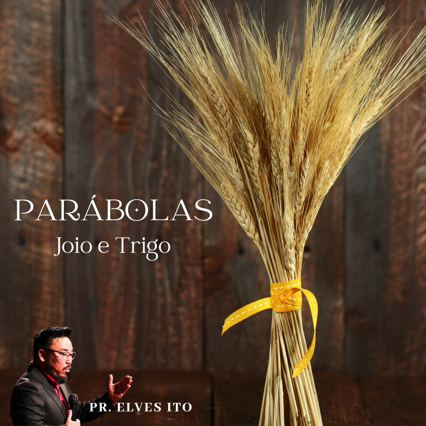 PARÁBOLAS DE JESUS - "A PARÁBOLA DO JOIO E TRIGO"