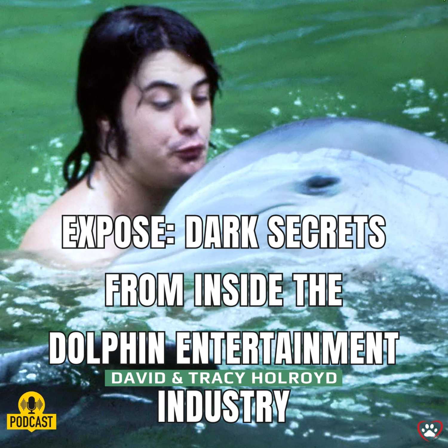 ⁣EXPOSE: Dark Secrets from inside the Dolphin Entertainment Industry