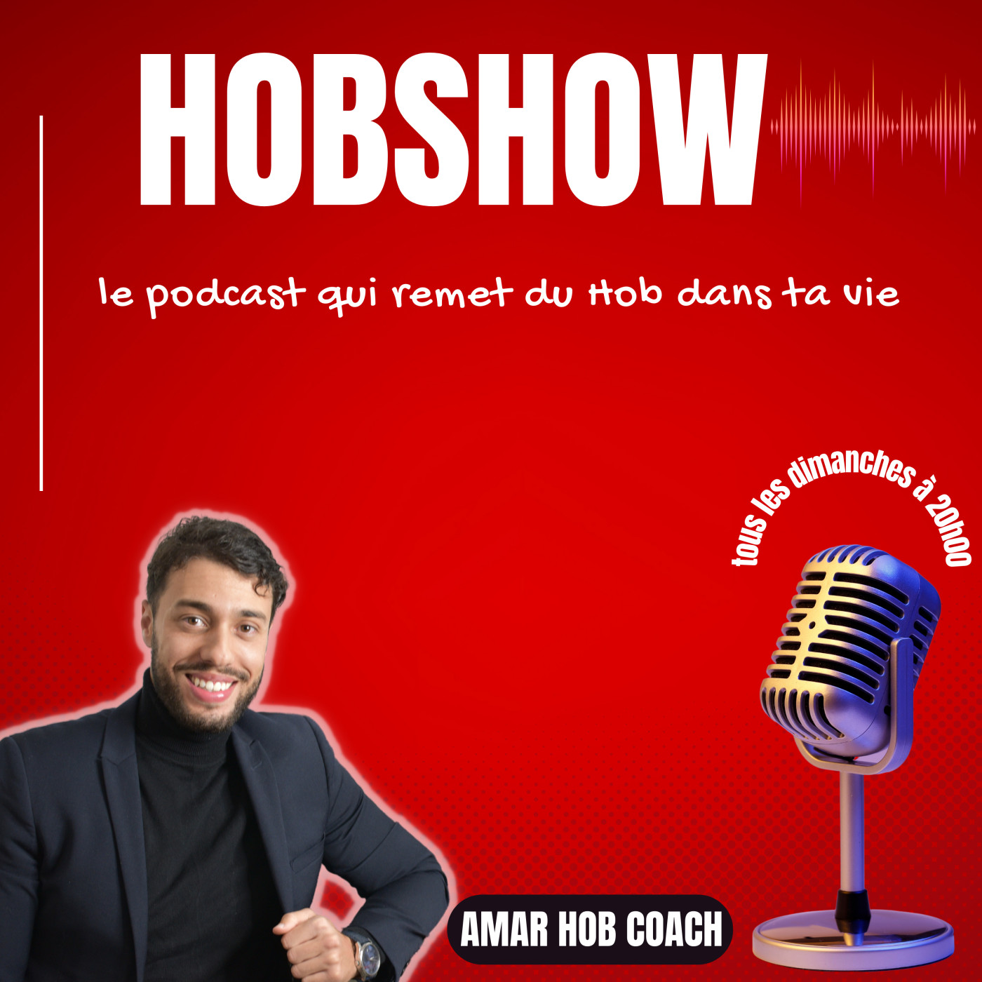 HOBSHOW 