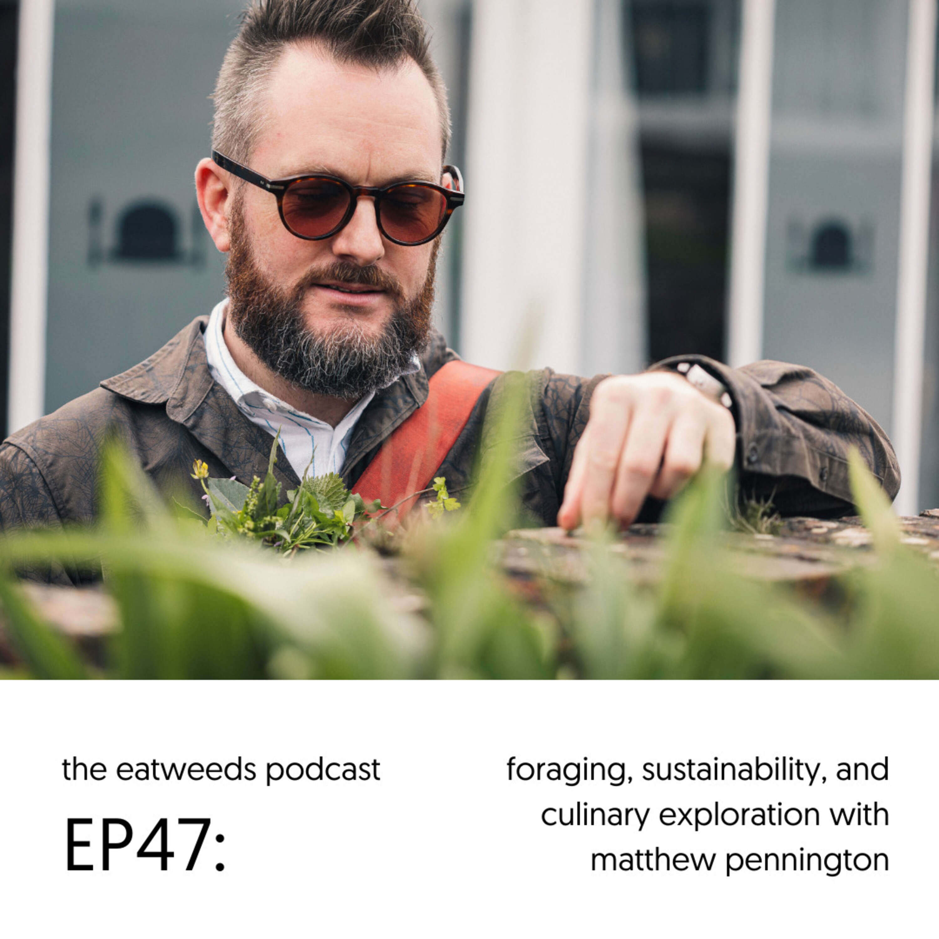 ⁣EP47: Foraging, Sustainability and Culinary Exploration with Matthew Pennington