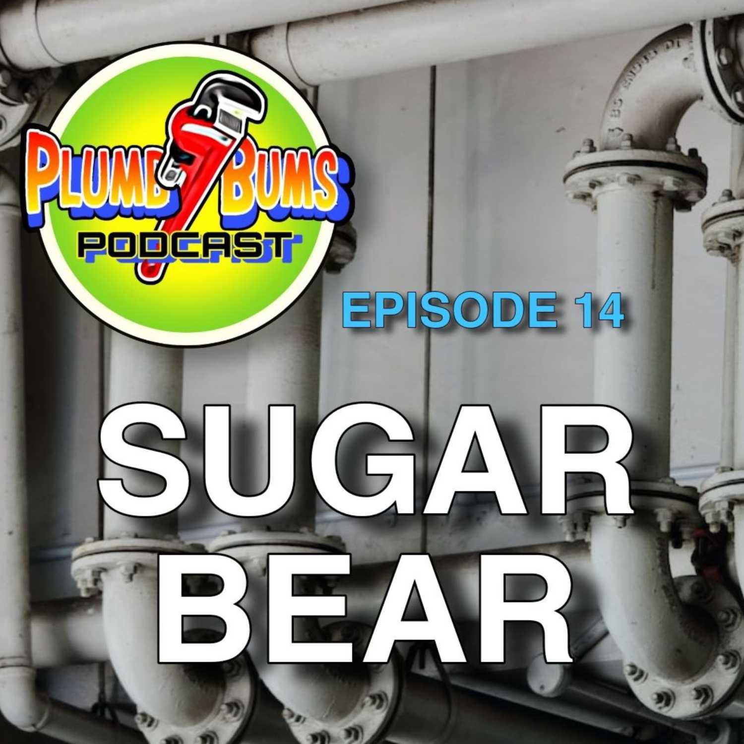 ⁣Sugar Bear