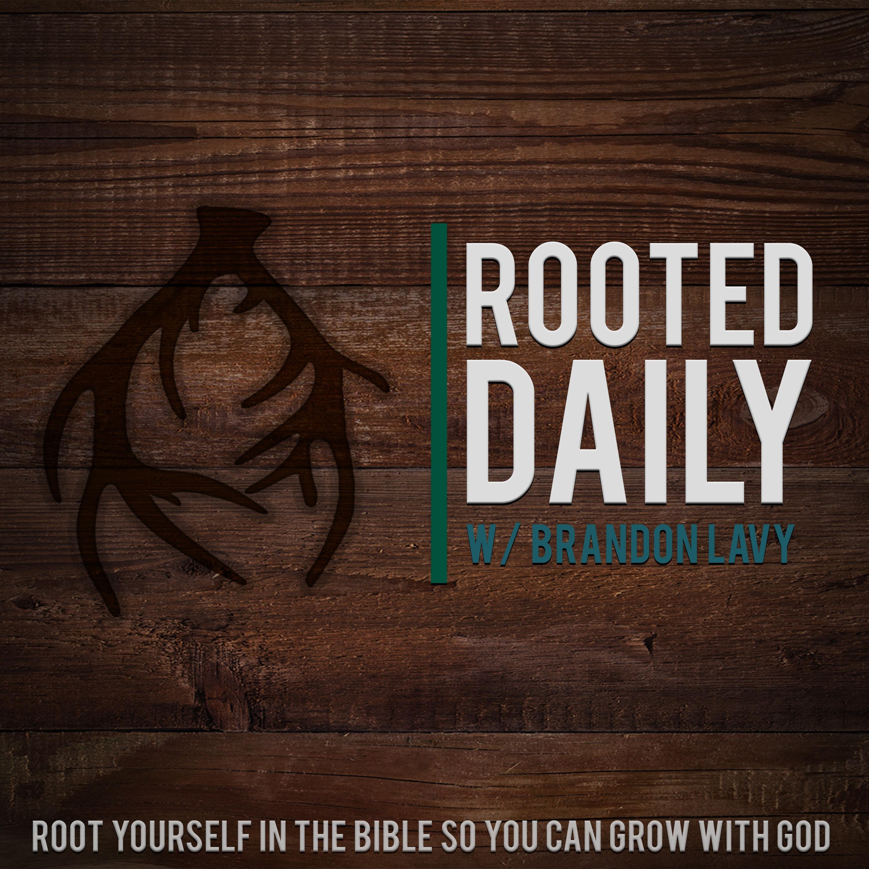 Rooted Daily with Brandon Lavy 