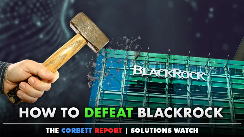 How To Defeat BlackRock - #SolutionsWatch