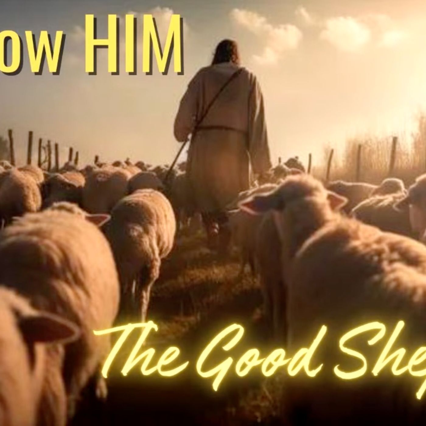 ⁣Pastor Jon Pignatelli: To Know Him - The Good Shepherd