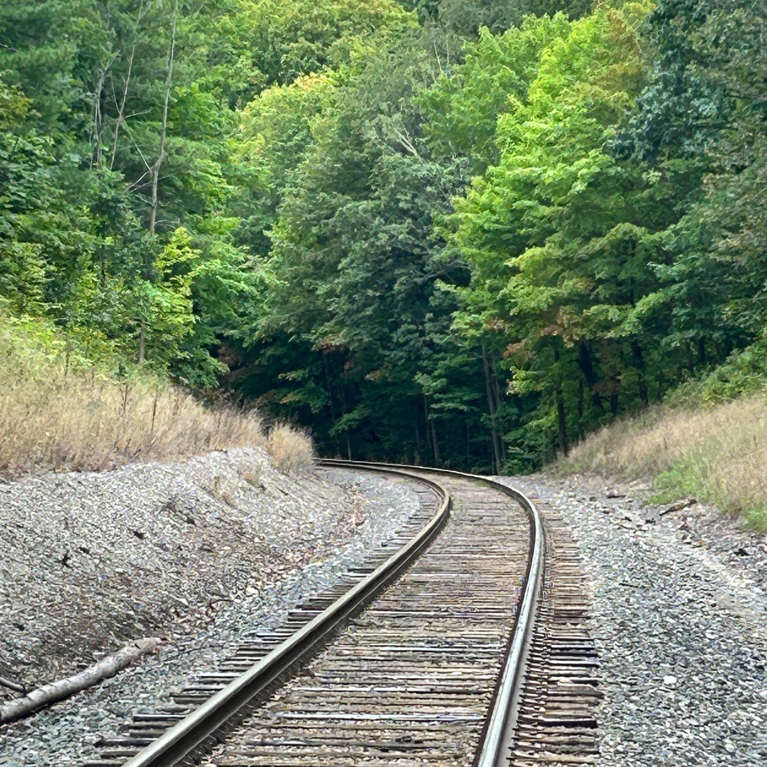 ⁣Watertown Trails 