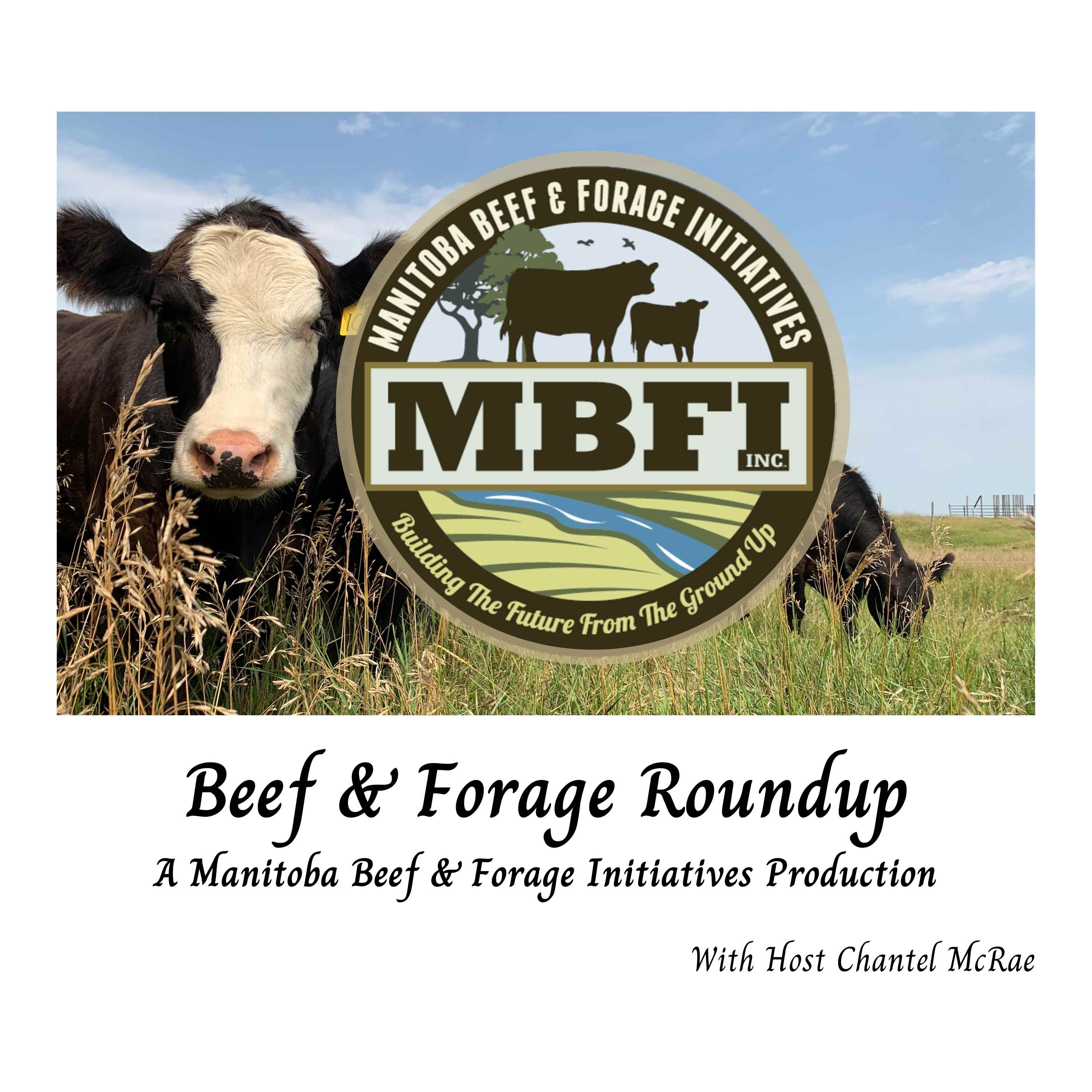 Beef and Forage Roundup 