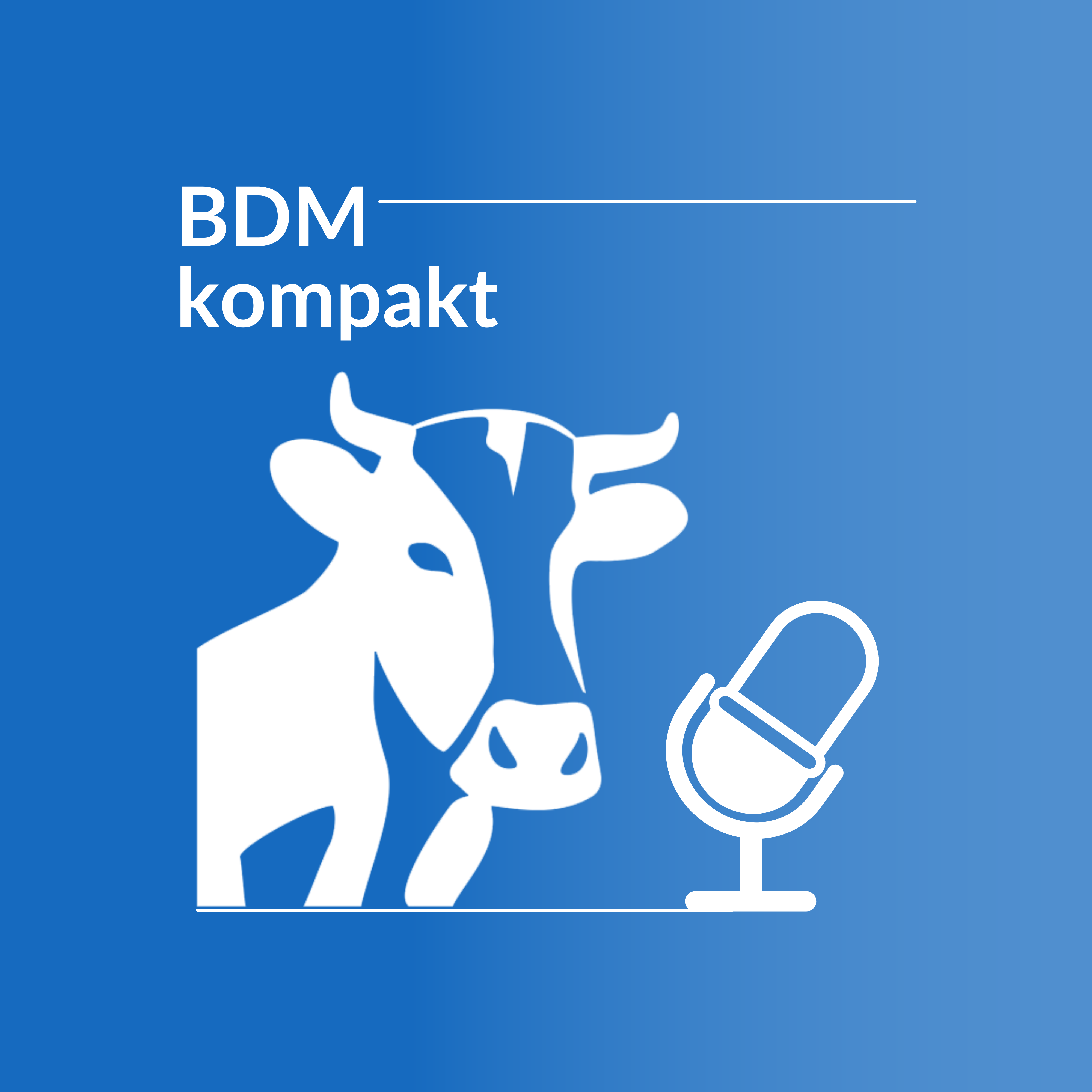 BDM kompakt 