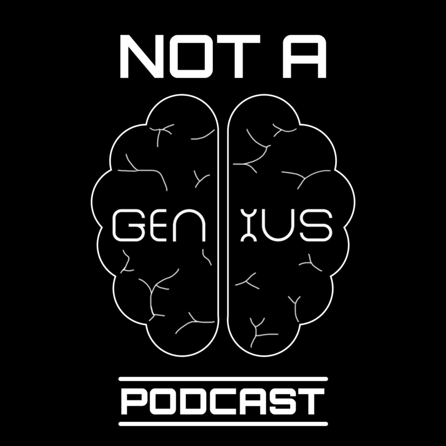 Not a Genius Podcast 