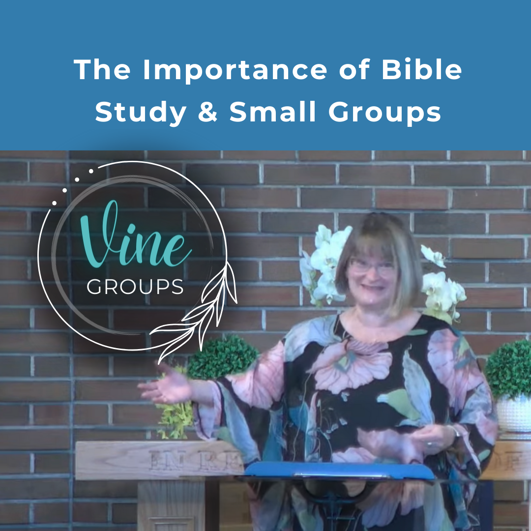 The Importance of Bible Study (reposted)