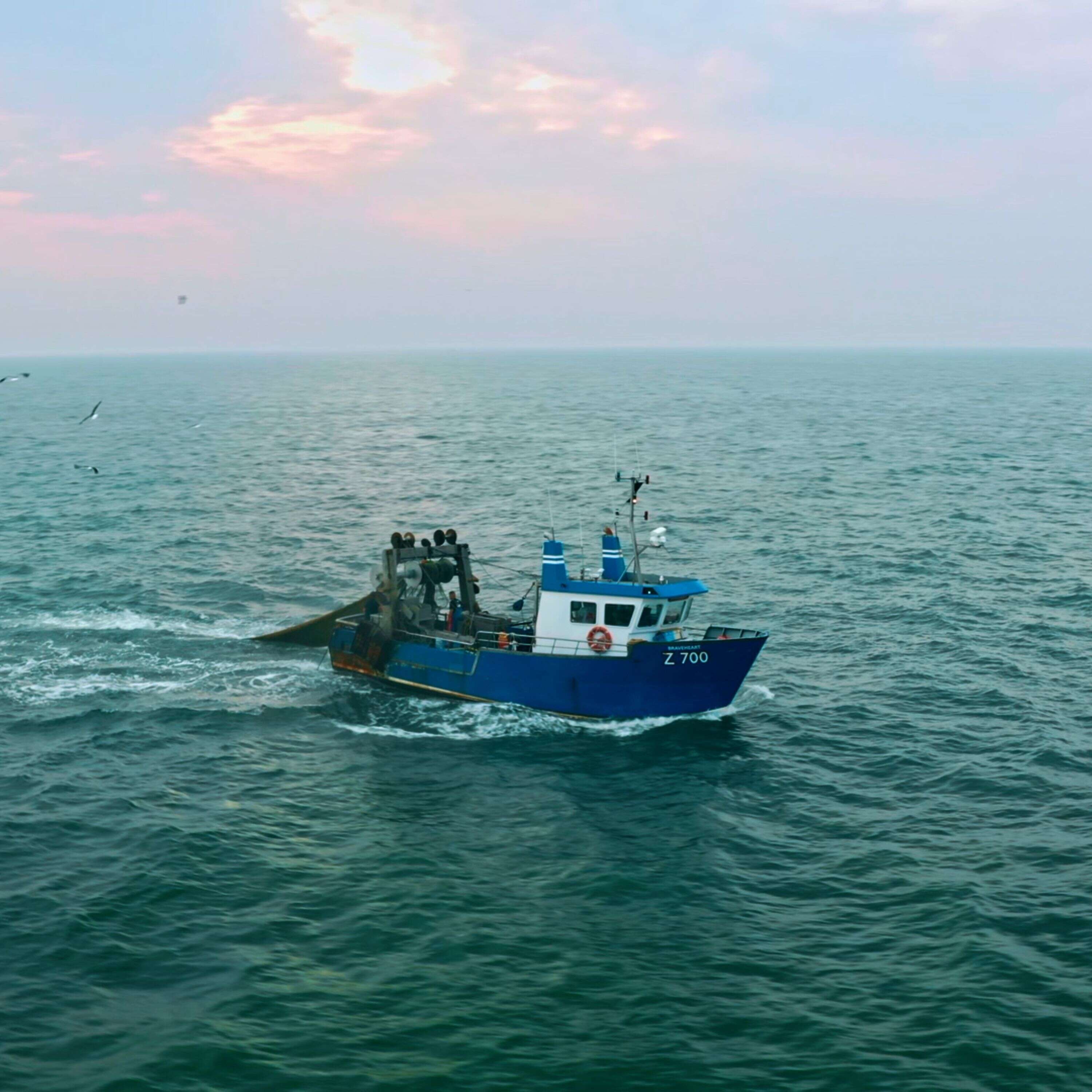 Aflevering 2 - Van Boord tot Bord - De Reder en de Visveiling