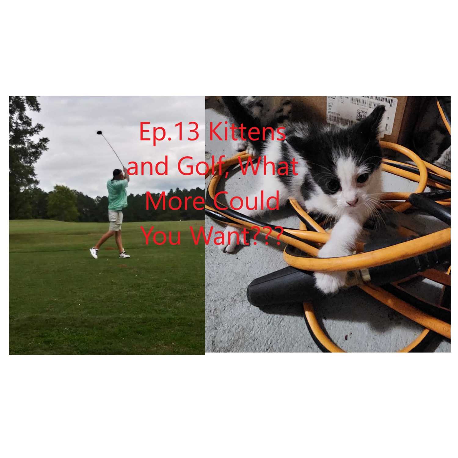 Episode 13 Kittens and Golf, What More Could You Want???