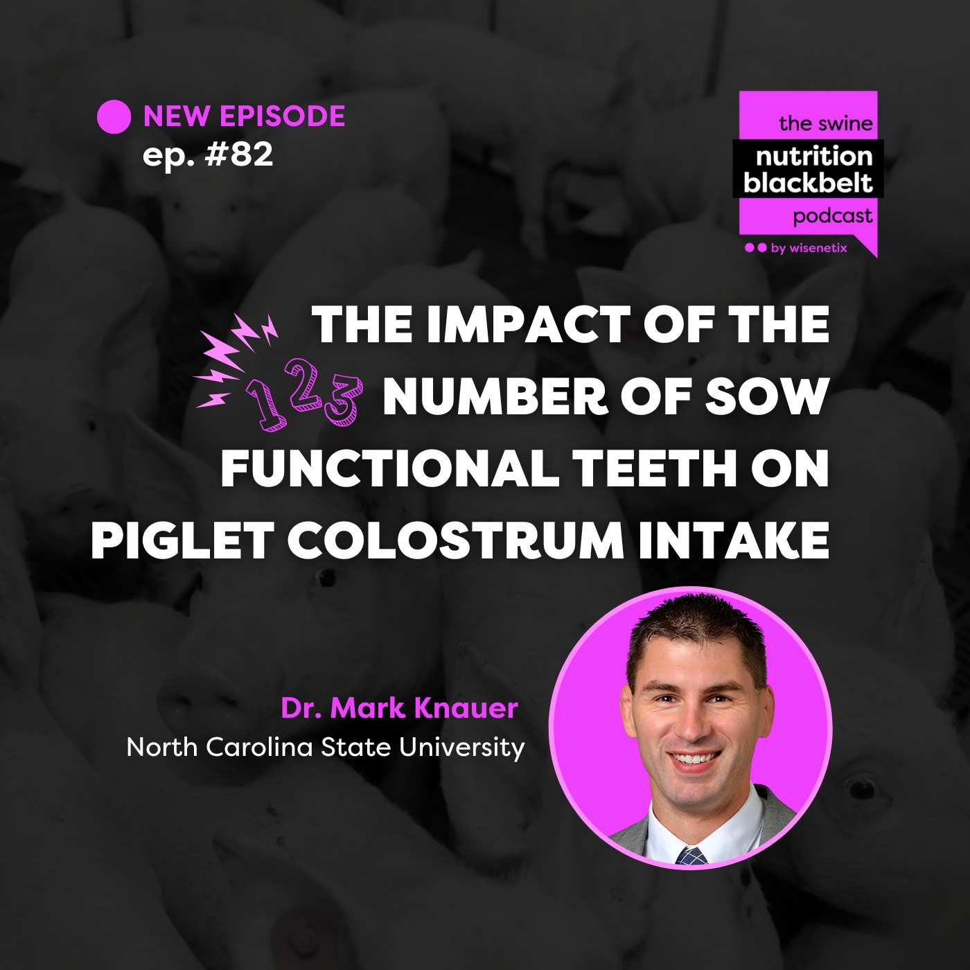 #82 - The impact of the number of sow functional teeth on piglet colostrum intake - Dr. Mark Knauer