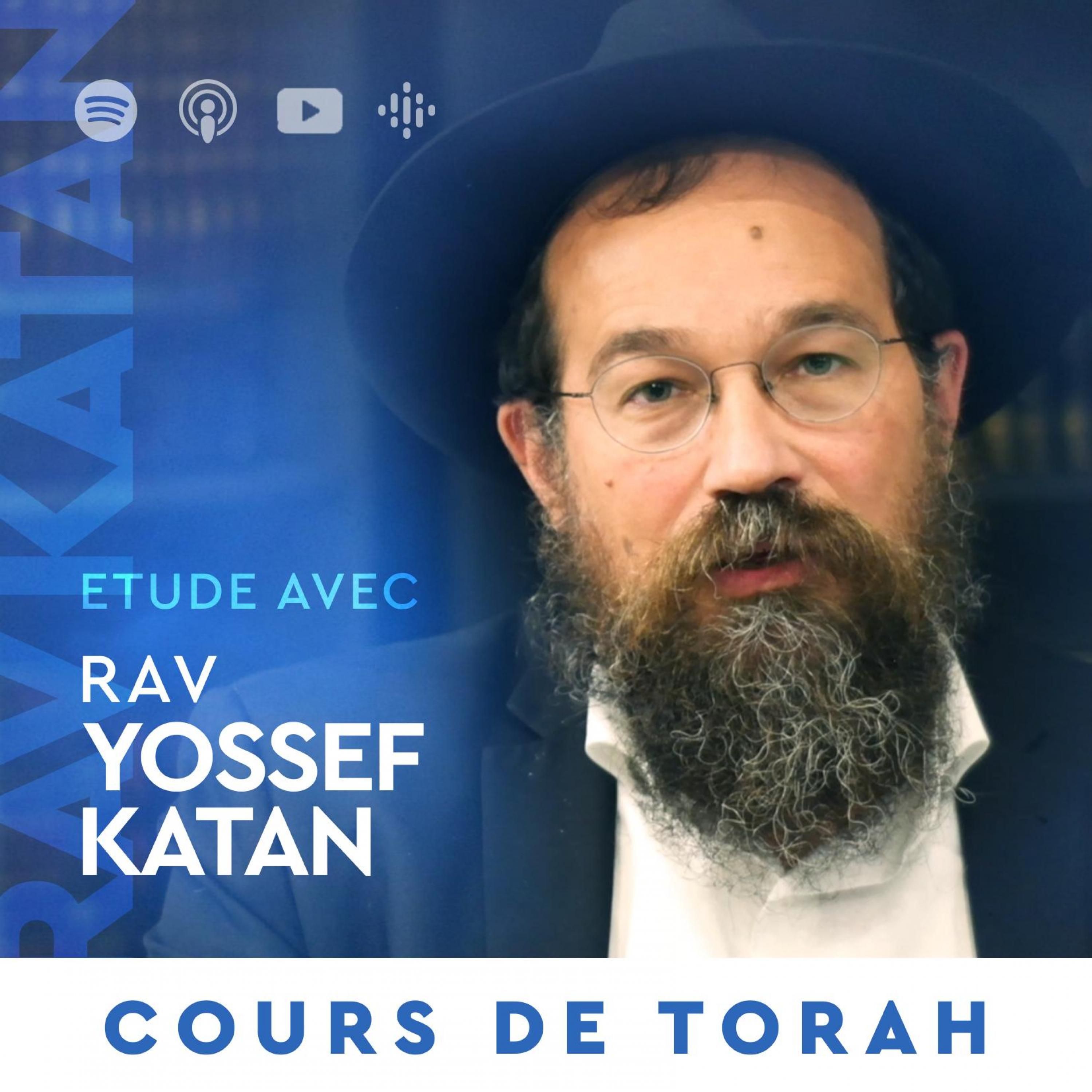 Cours de Torah & Thèmes 