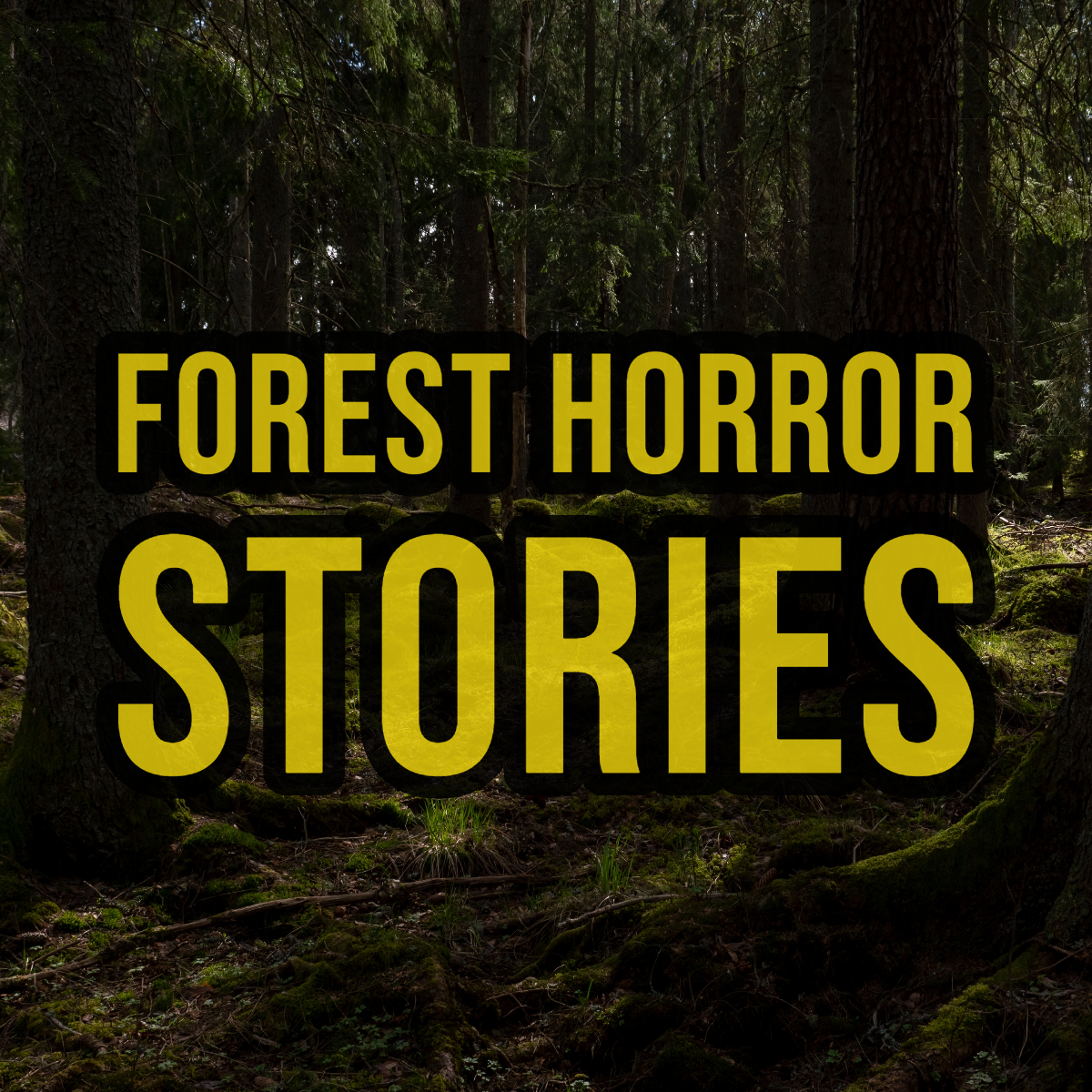 Episode 138: Forest Horror Stories