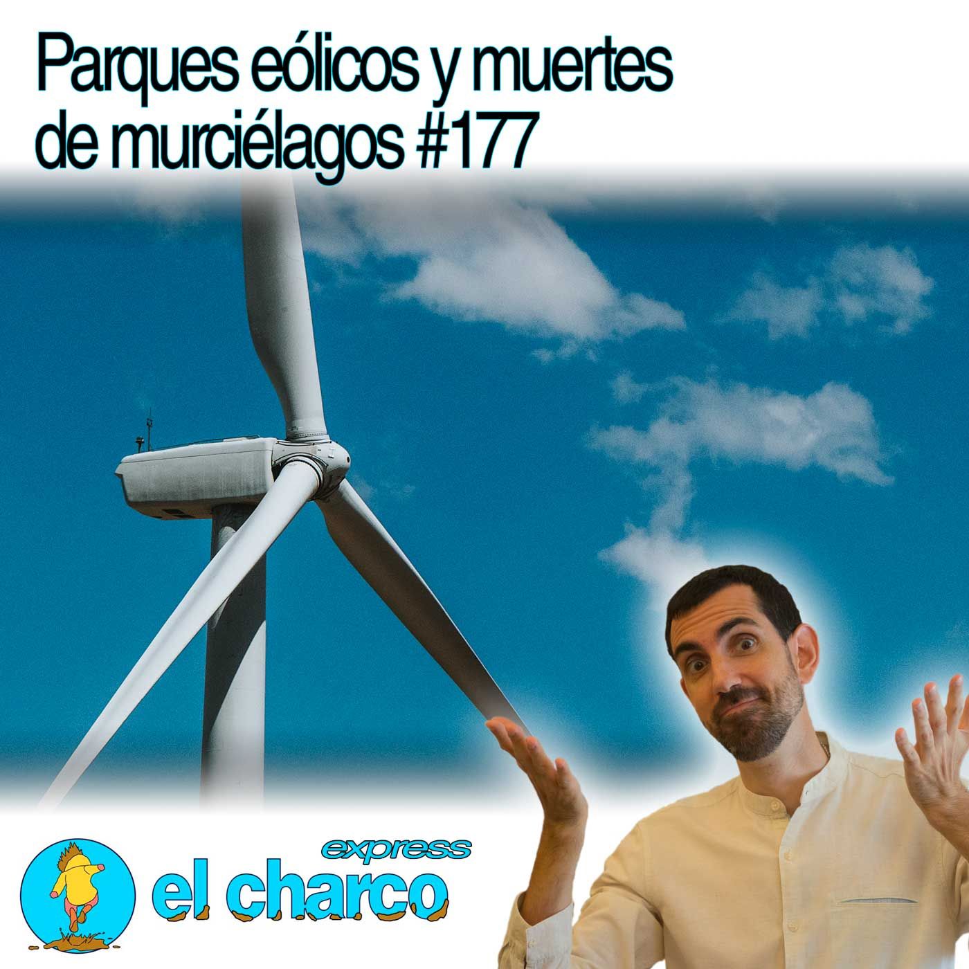 Parques eólicos y muertes de murciélagos #177