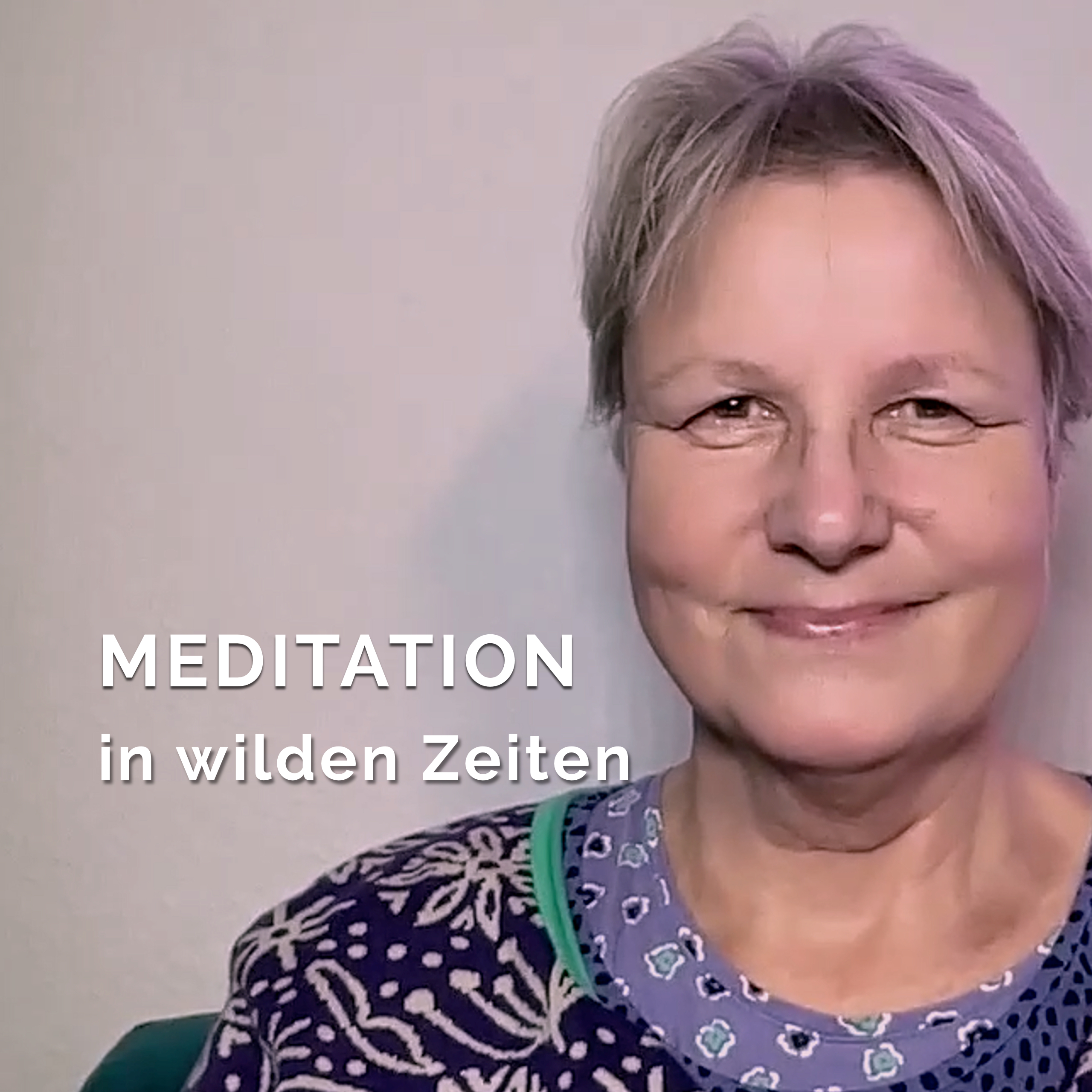 Meditation in wilden Zeiten 