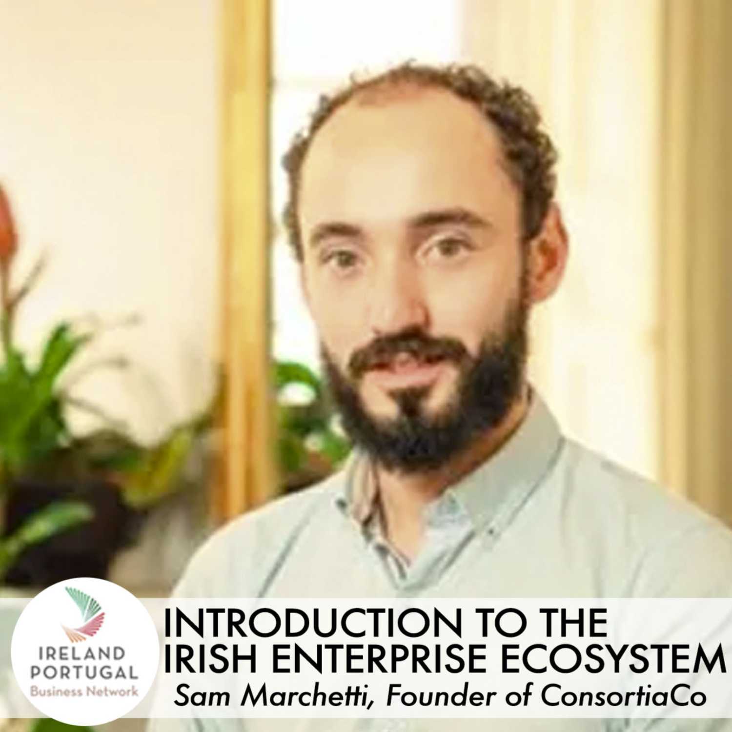 IPBN Podcast Series ep. 20 - Introduction to the Irish Enterprise Ecosystem with Sam Marchetti, Founder of ConsortiaCo