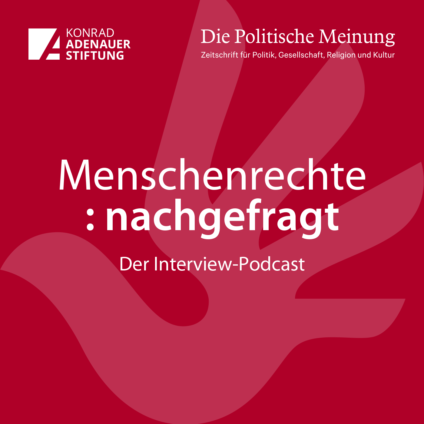 Menschenrechte: nachgefragt! - Der Interview-Podcast rund ums Thema Menschenrechte 