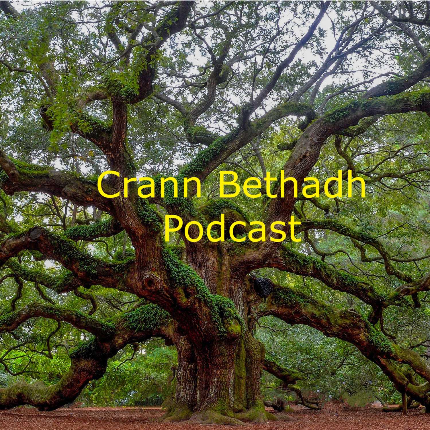 Crann Bethadh Stories and Poetry for Sept. 8th, 2023