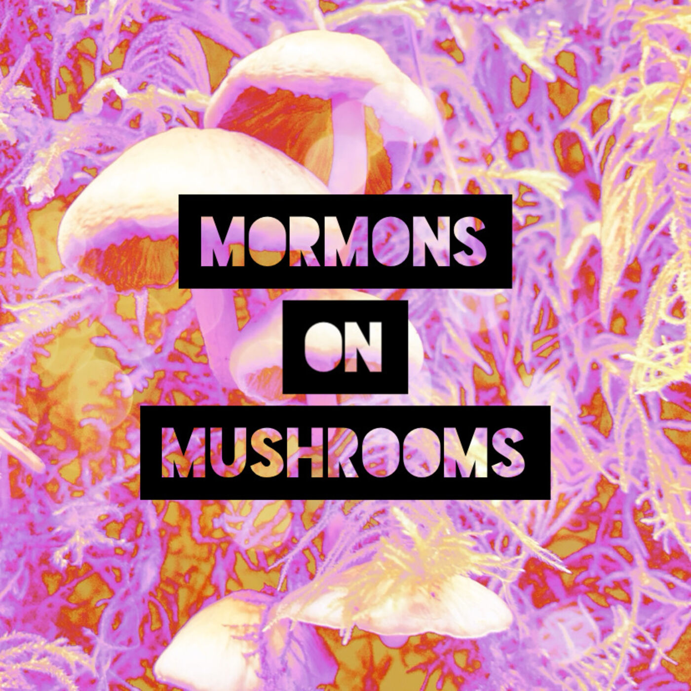 Mormons on Mushrooms 