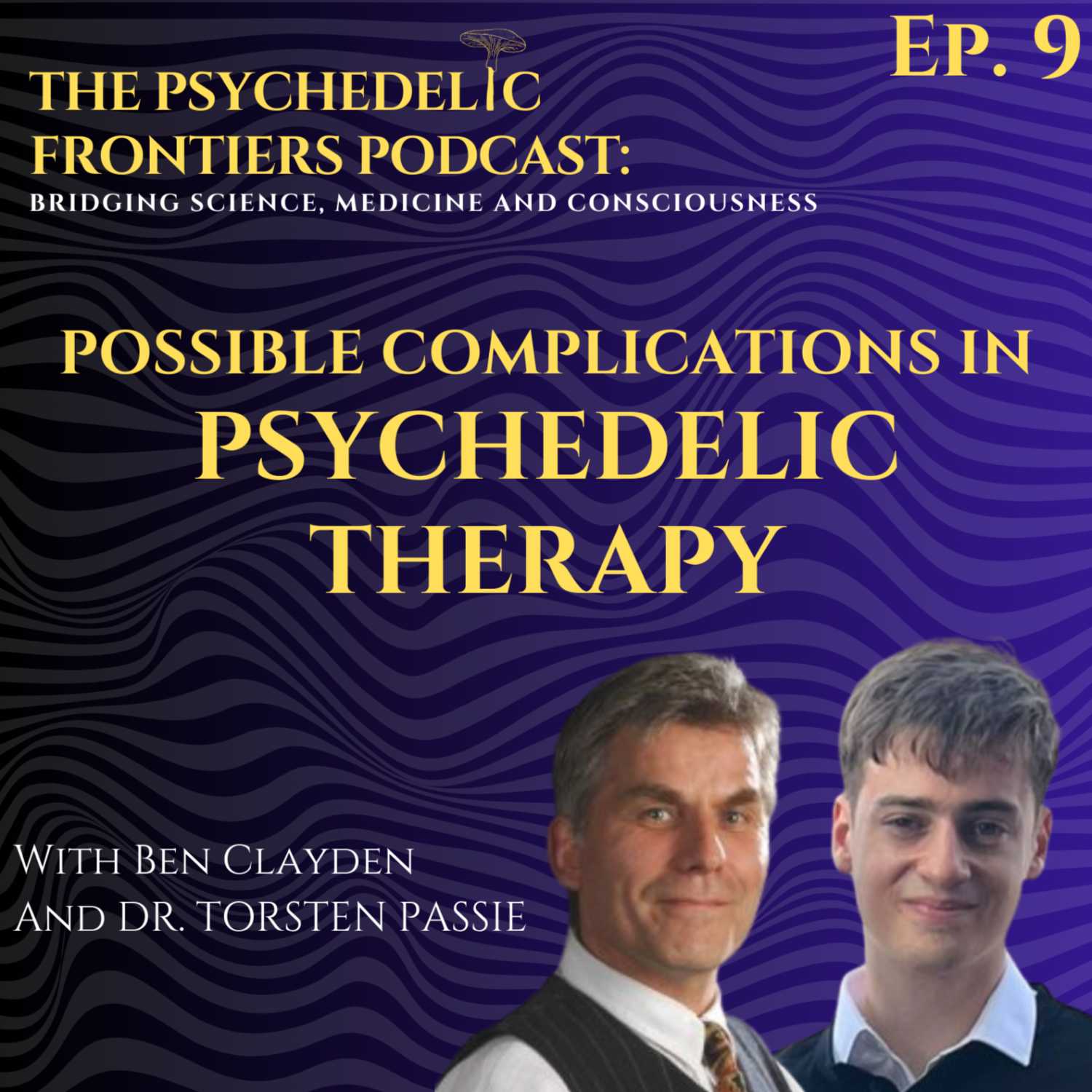 ⁣Possible Complications in Psychedelic Therapy with Dr Torsten Passie - Episode 9 of the Psychedelic Frontiers Podcast