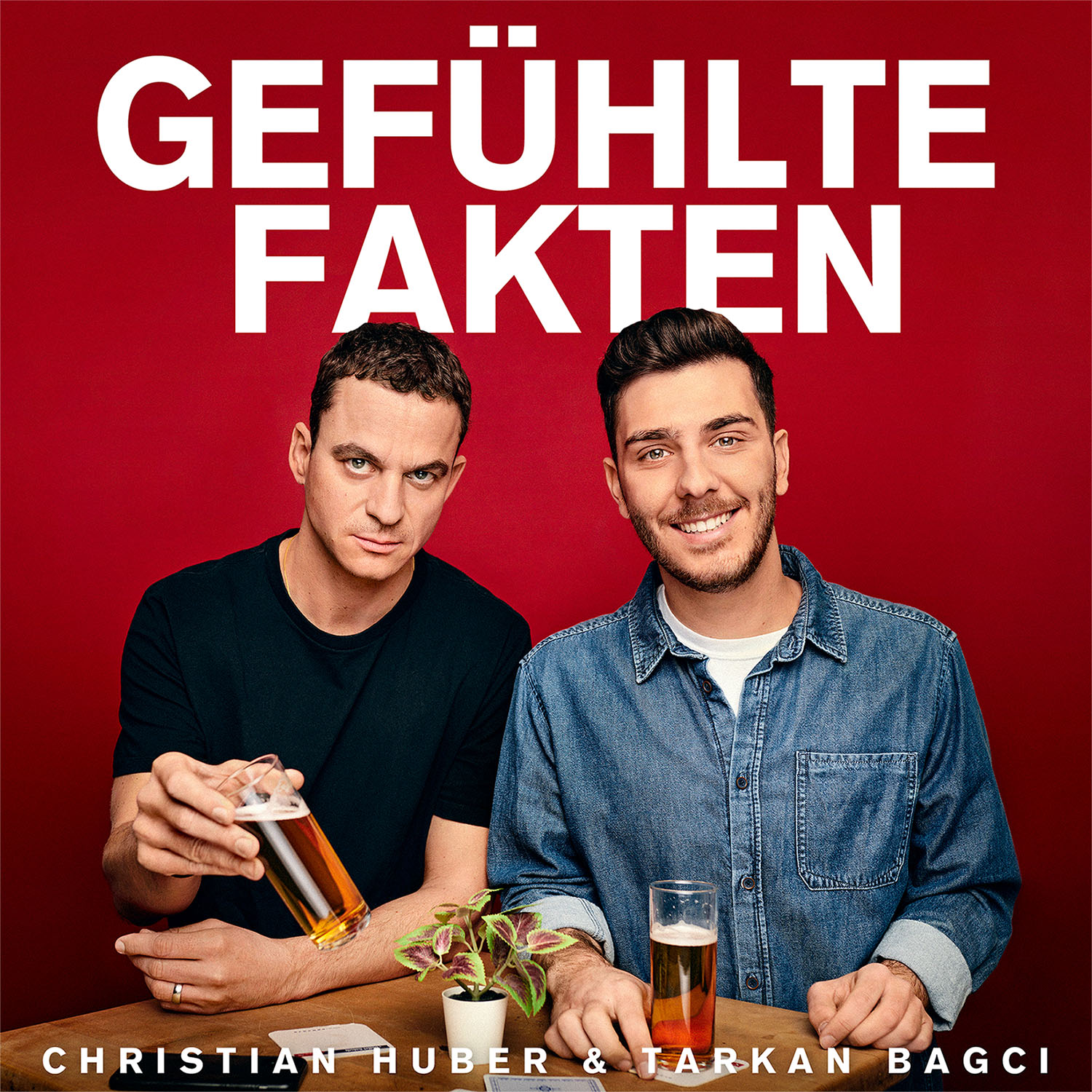 Gefühlte Fakten 